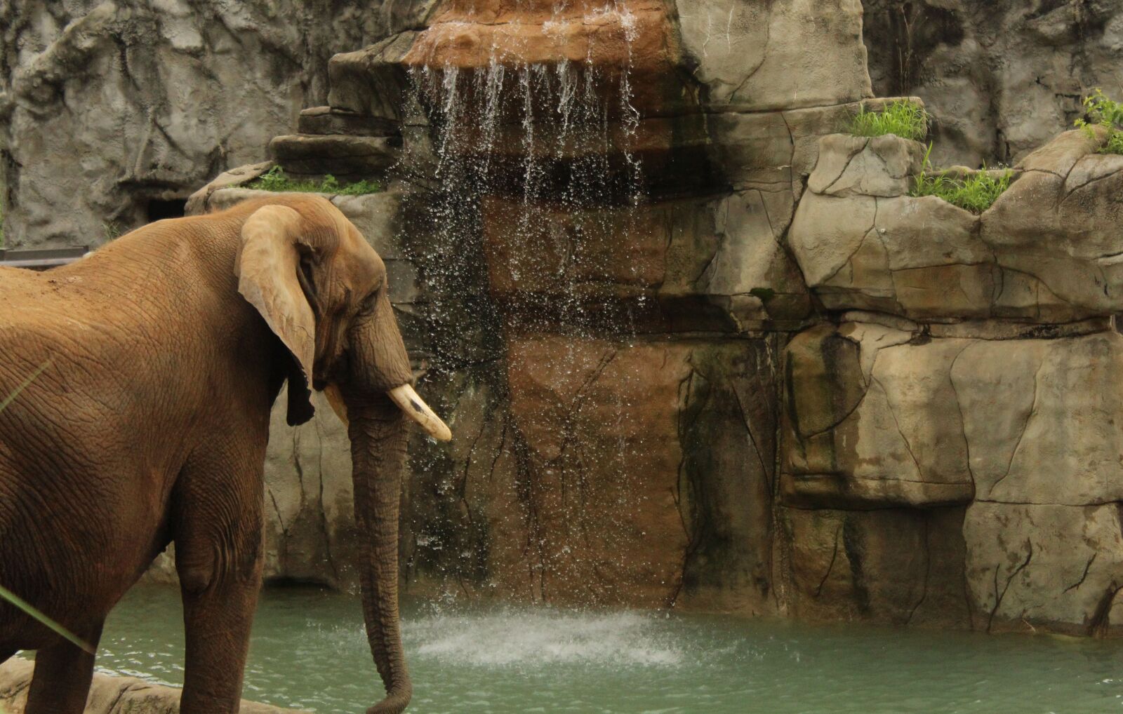 Canon EOS 1200D (EOS Rebel T5 / EOS Kiss X70 / EOS Hi) sample photo. Elephant, waterfall, trunk photography