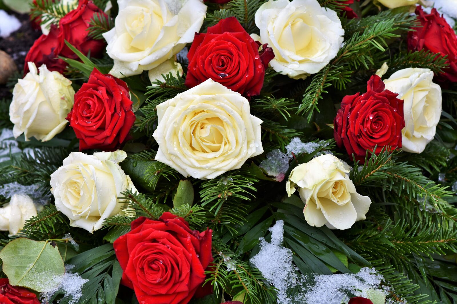 Nikon D7200 sample photo. Roses, rose arrangement, rose photography