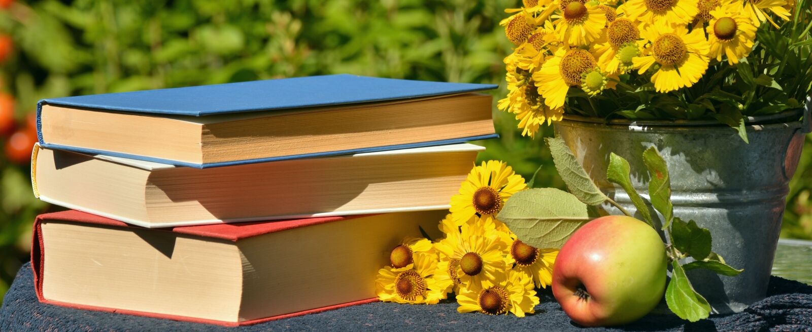 Nikon D5200 sample photo. Books, read, garden photography