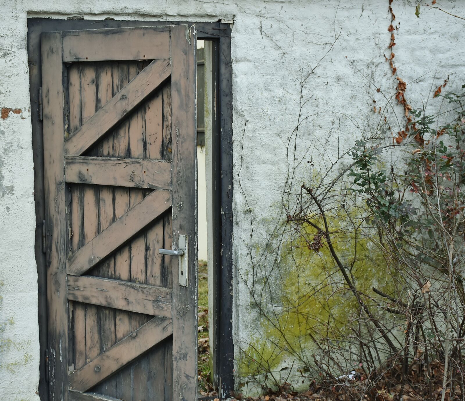 Nikon D7200 sample photo. Door, passage, building photography