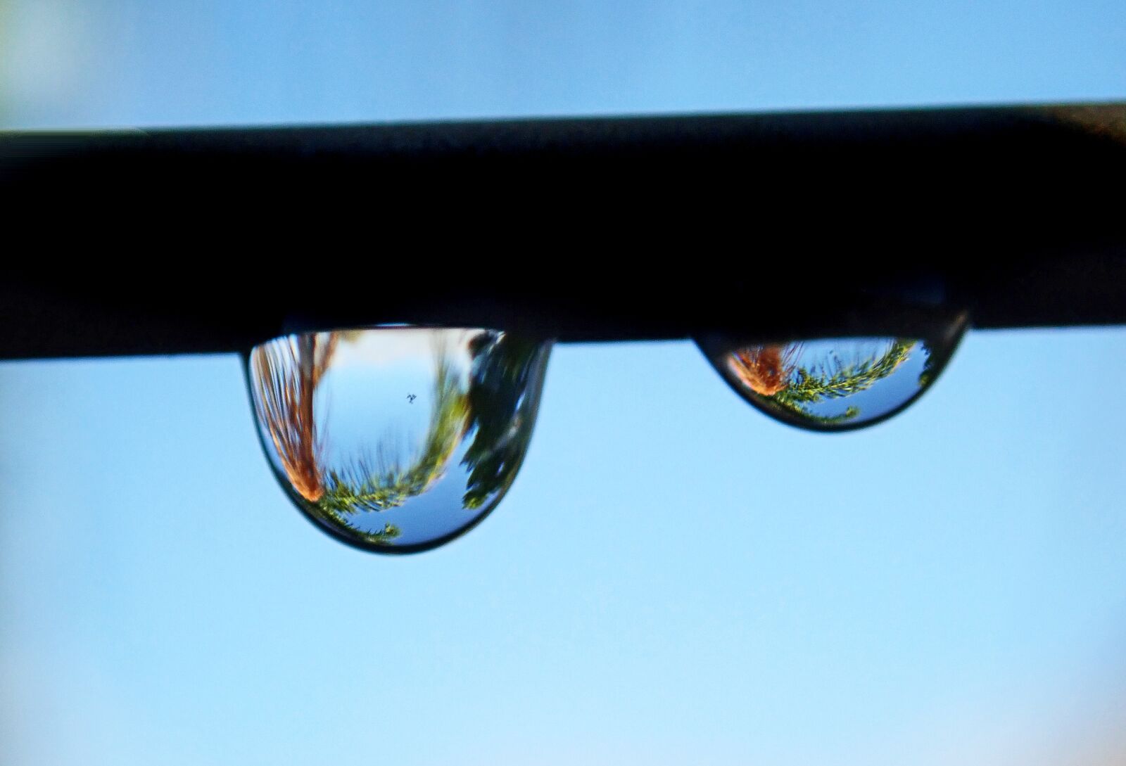 Olympus TG-5 sample photo. Raindrops, clothes line, wire photography