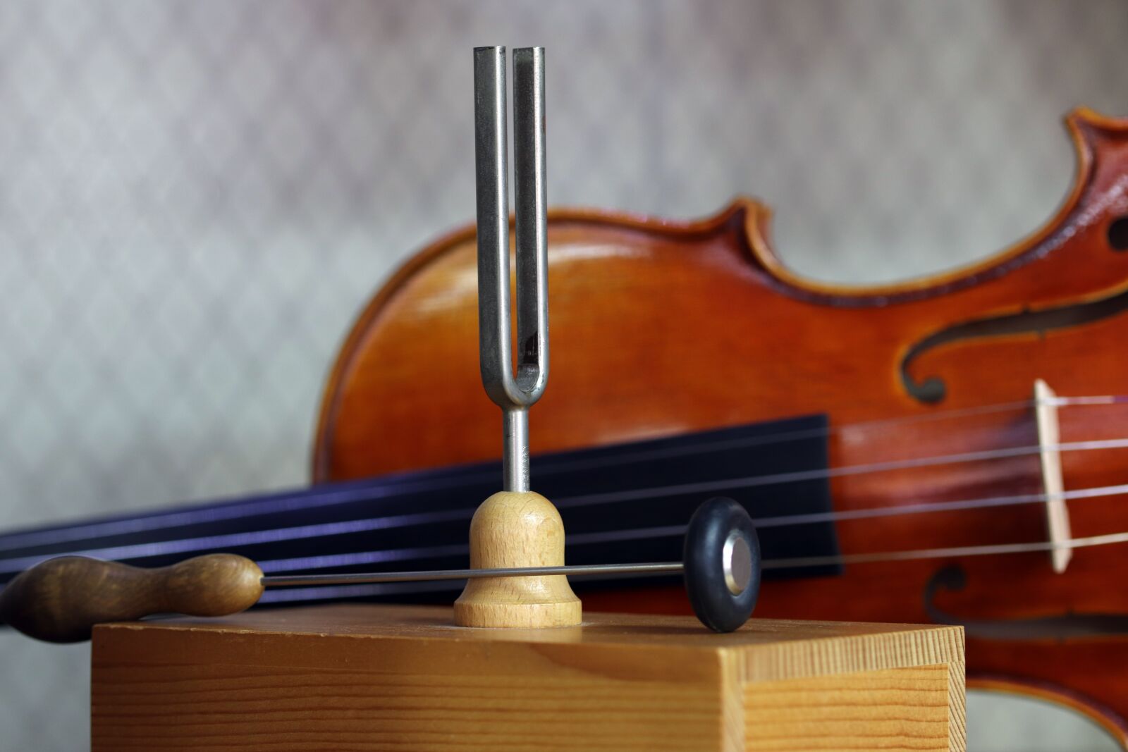 Canon EOS 800D (EOS Rebel T7i / EOS Kiss X9i) sample photo. Music, instrument, well photography