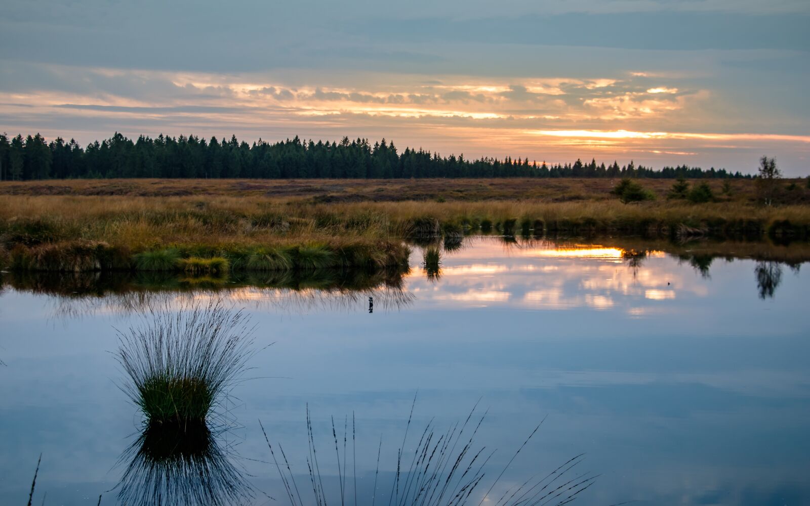 Canon EOS 80D sample photo. Moor, swamp, landscape photography
