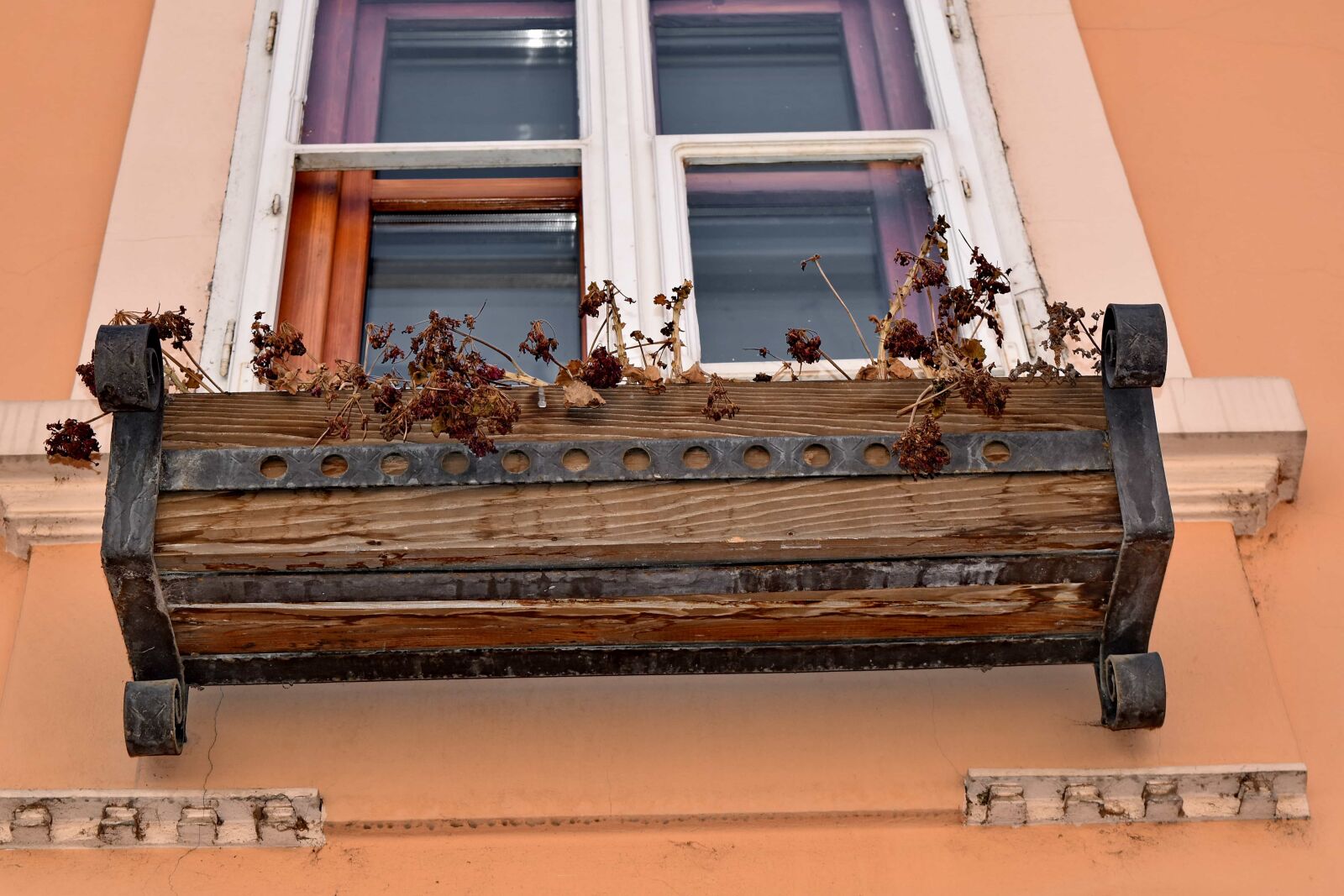 Nikon D5500 sample photo. Flowerpot, wood, old, indoors photography