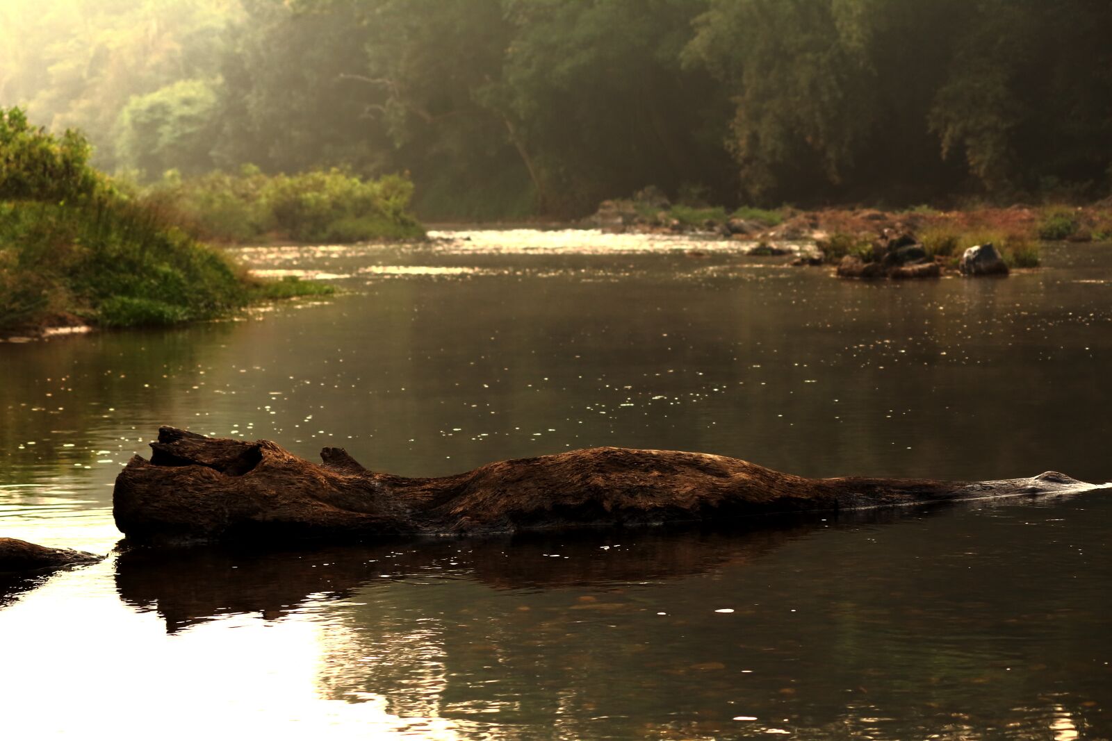 Canon EF-S 55-250mm F4-5.6 IS II sample photo. River, log, water photography