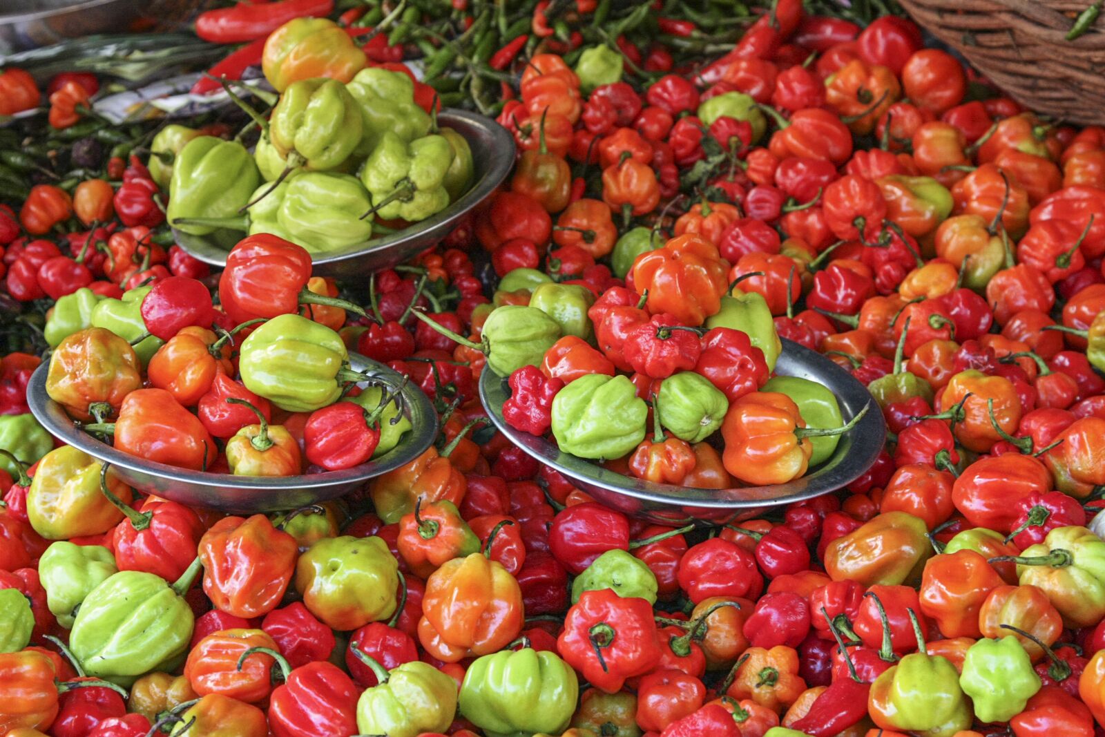 Canon EOS 40D + Canon EF 24-105mm F4L IS USM sample photo. Vegetables, paprika, red photography