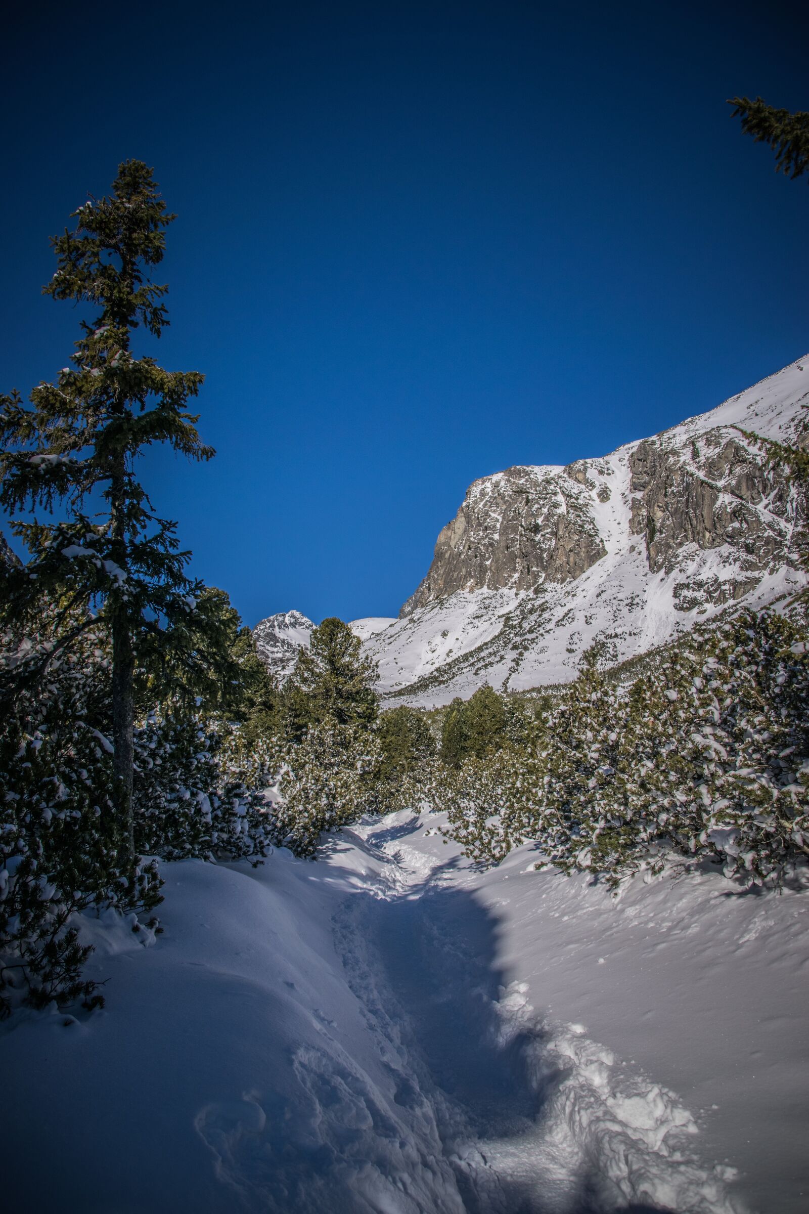Nikon D5300 sample photo. Mountains, winter, snow photography