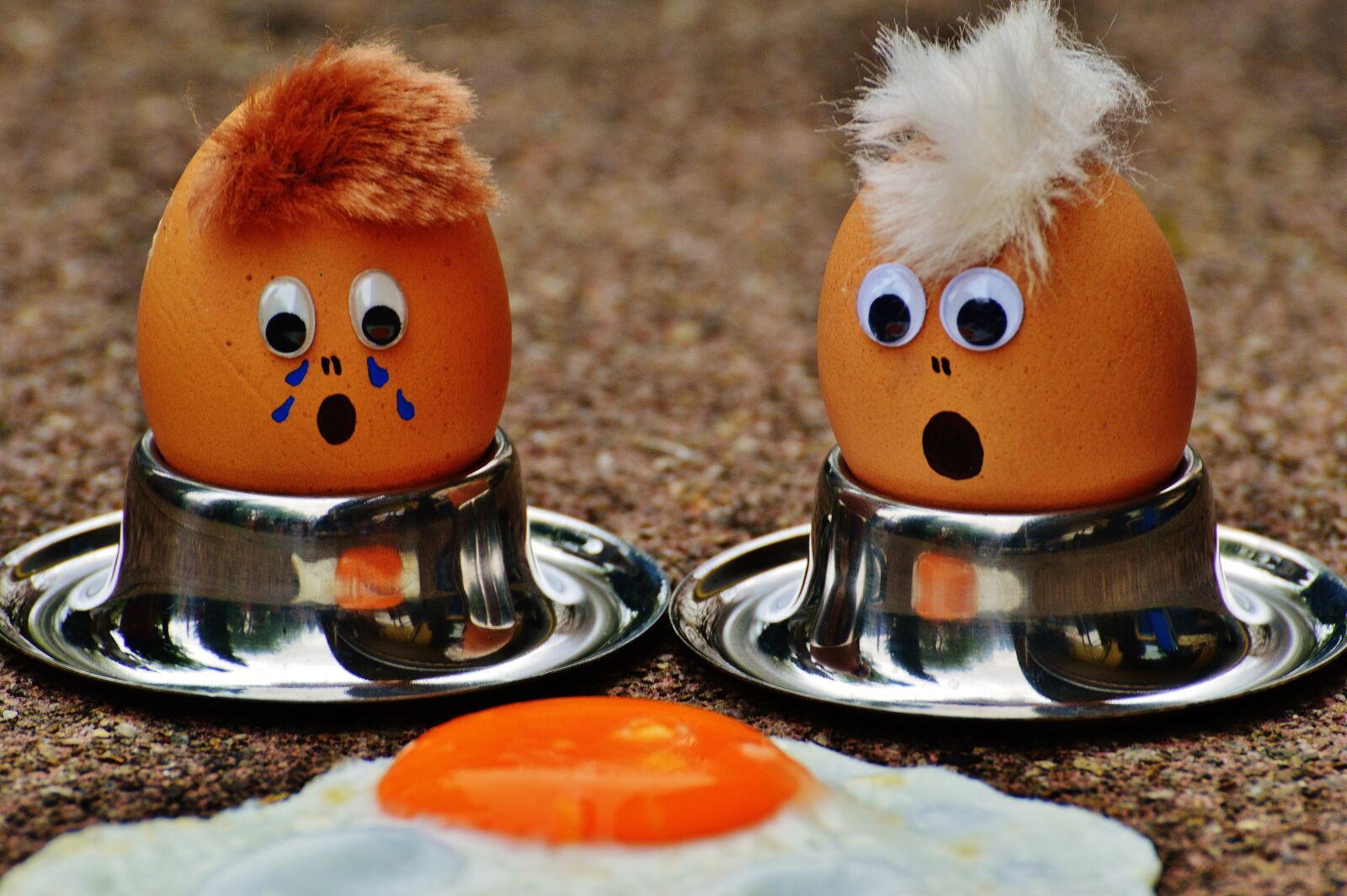Nikon D3200 sample photo. Egg, fried, mourning photography