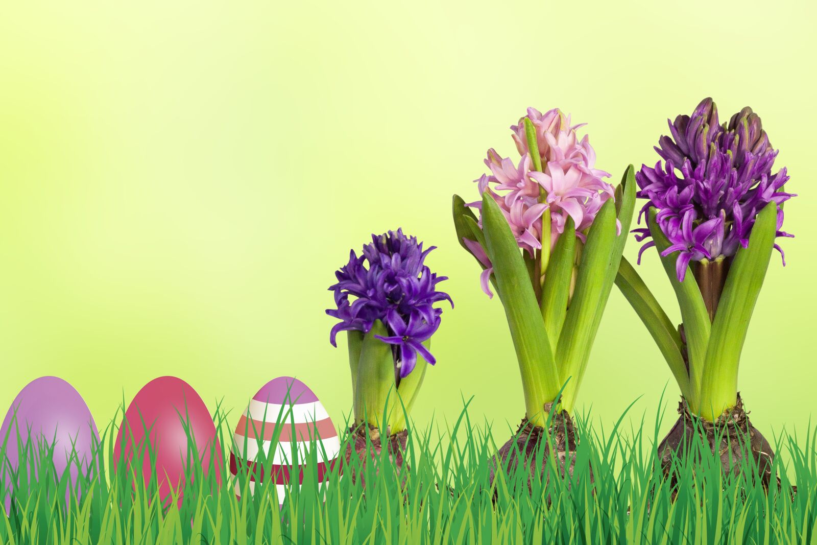 Canon EOS 50D sample photo. Easter, grass, nature photography