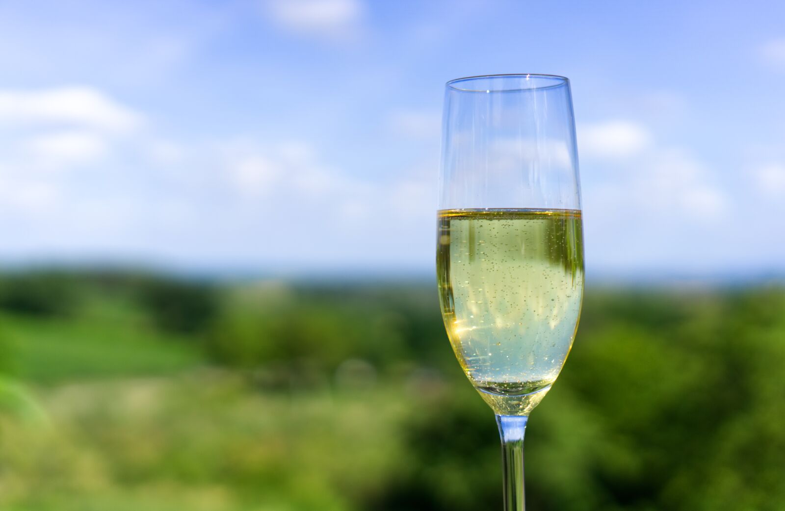 Sony a6000 + Sony E 35mm F1.8 OSS sample photo. Champagne, glass, alcohol photography