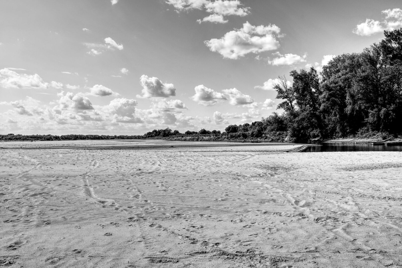 Nikon D7500 sample photo. In nowy dw r photography