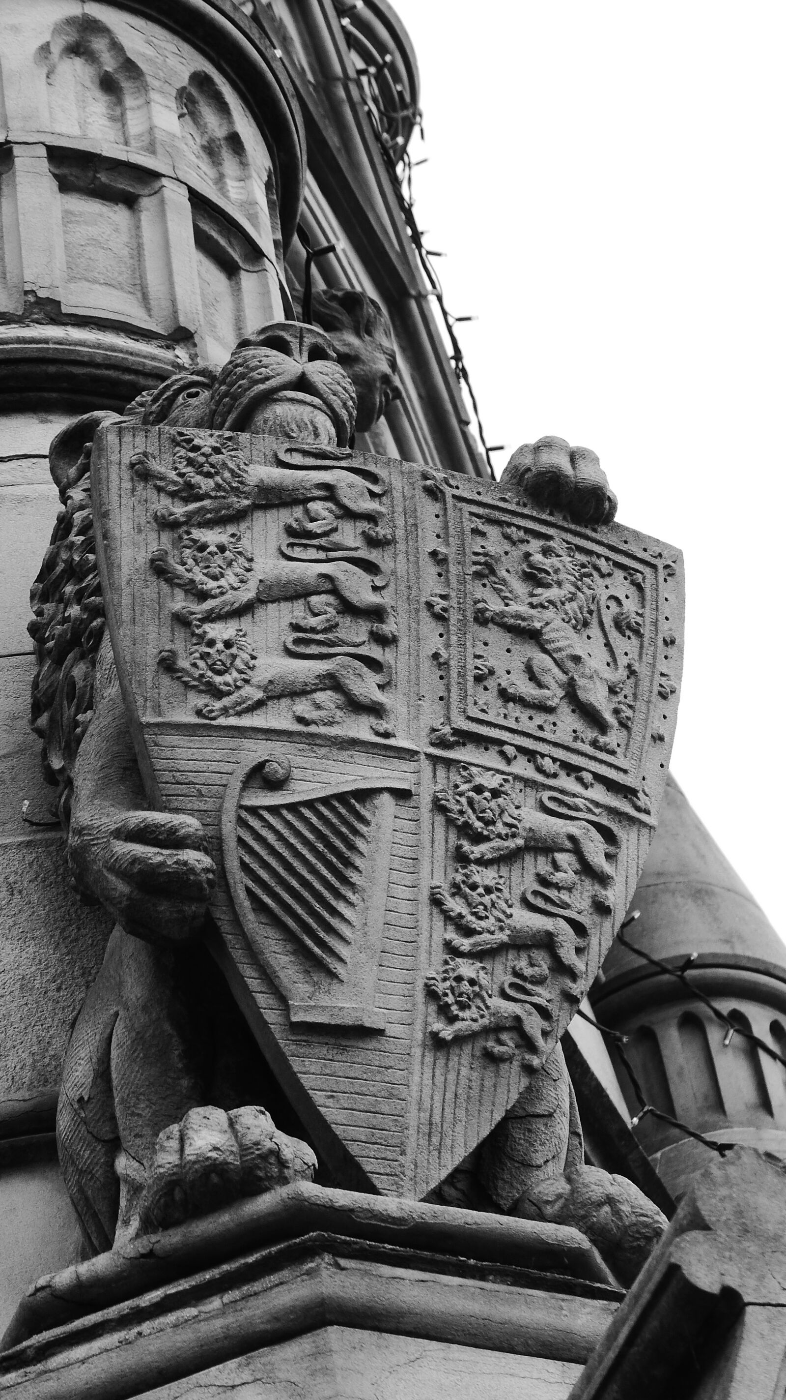 Panasonic Lumix DMC-FZ200 sample photo. Black and white, shield photography