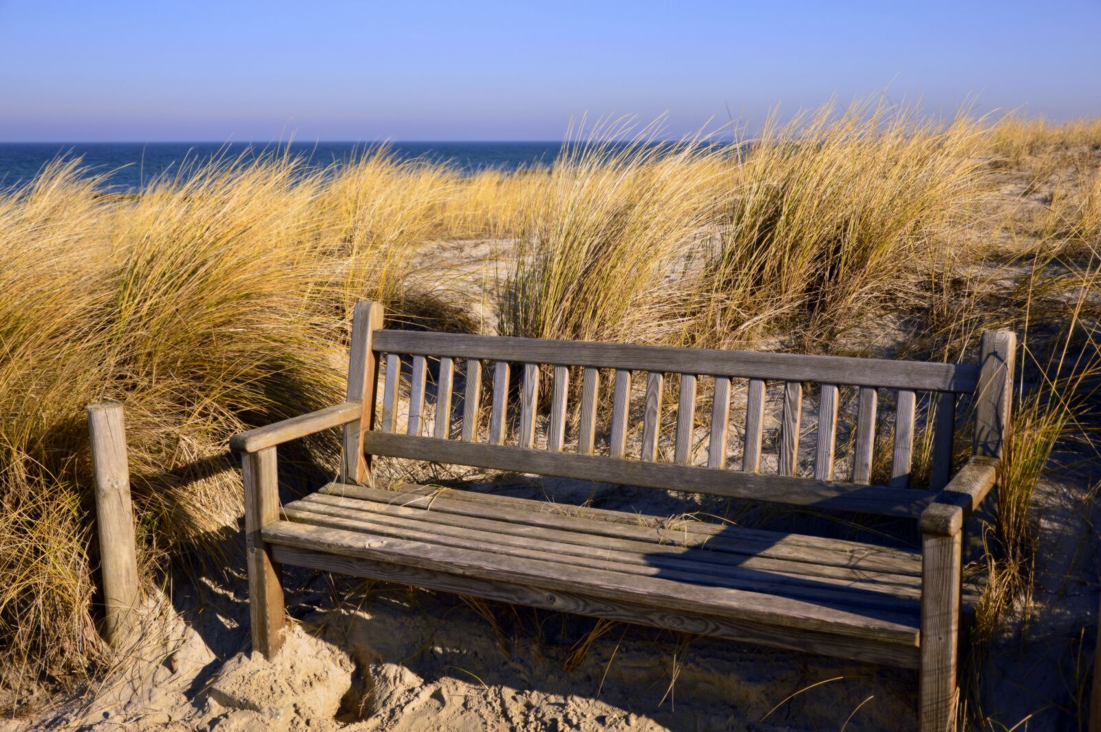 Nikon D3200 sample photo. Wooden bench, bank, bench photography