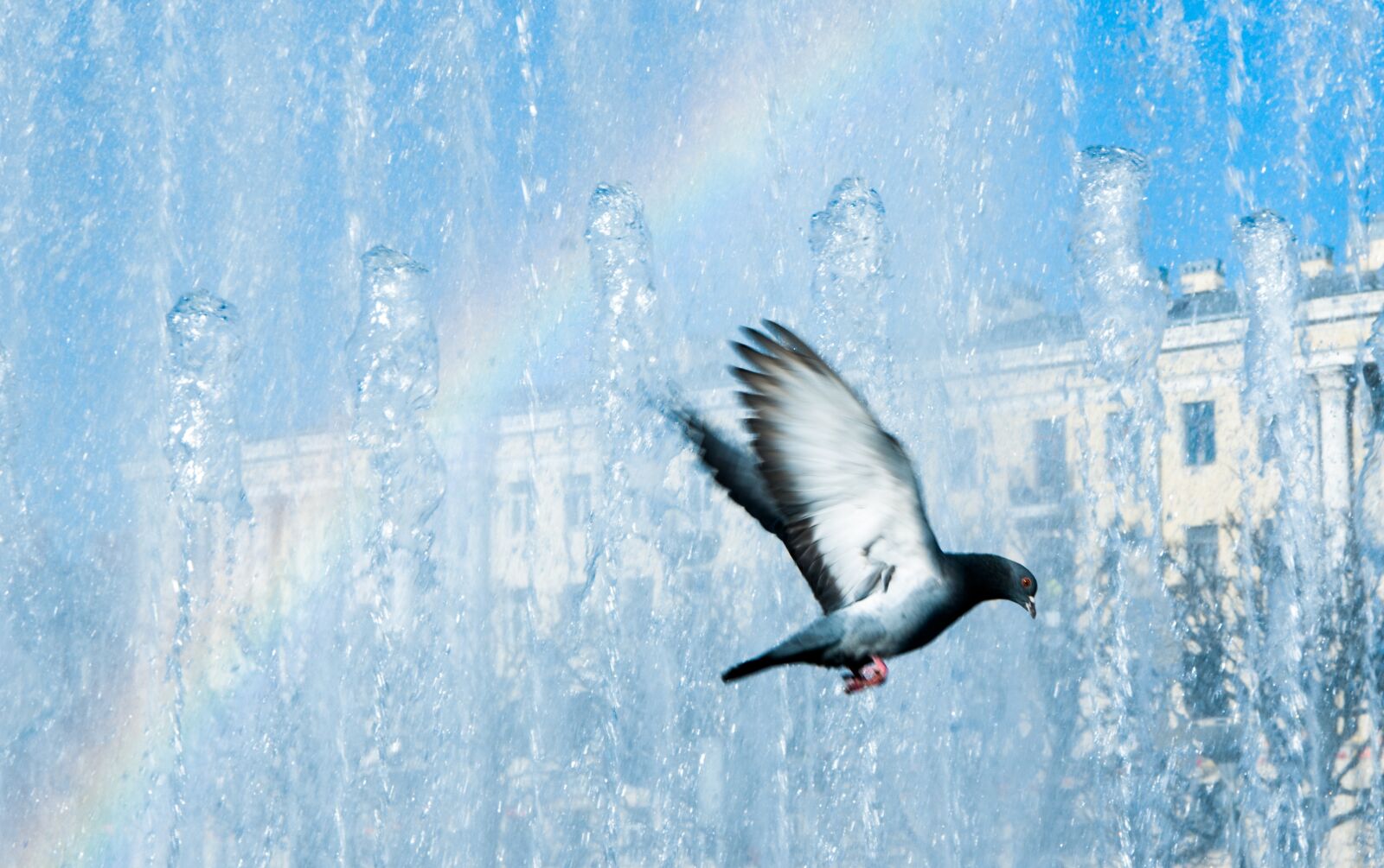 Nikon D300S sample photo. Fountain, rainbow, sky photography