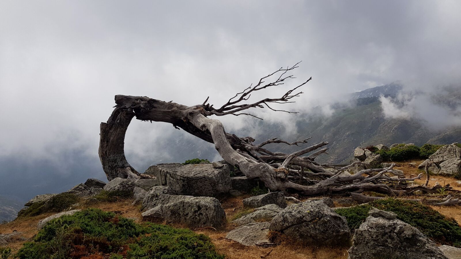 Samsung Galaxy S8 sample photo. Wind, mountains, tree photography