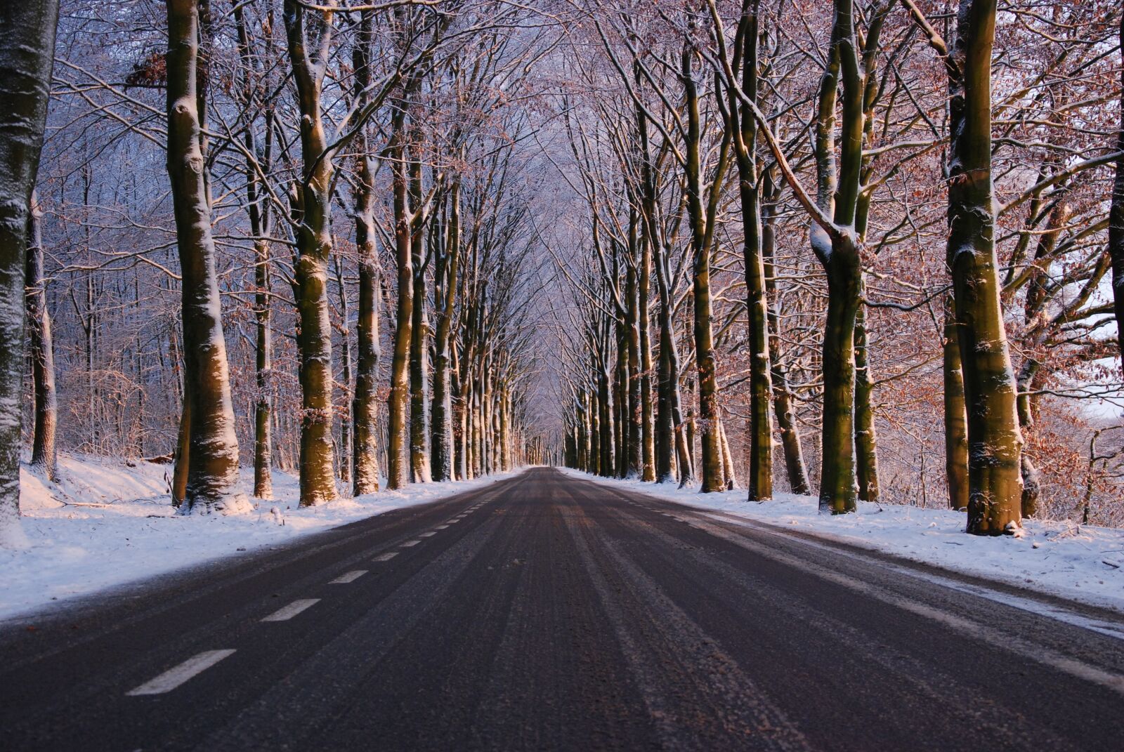 Nikon D80 sample photo. Winter, road, snow photography