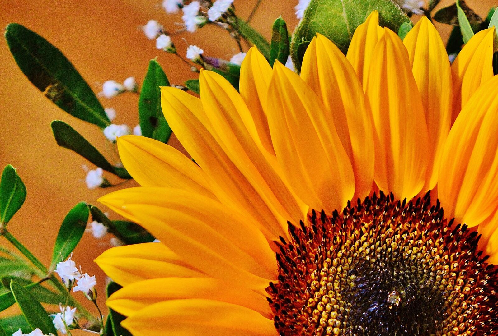 Nikon D3200 sample photo. Bouquet, sunflower, summer photography