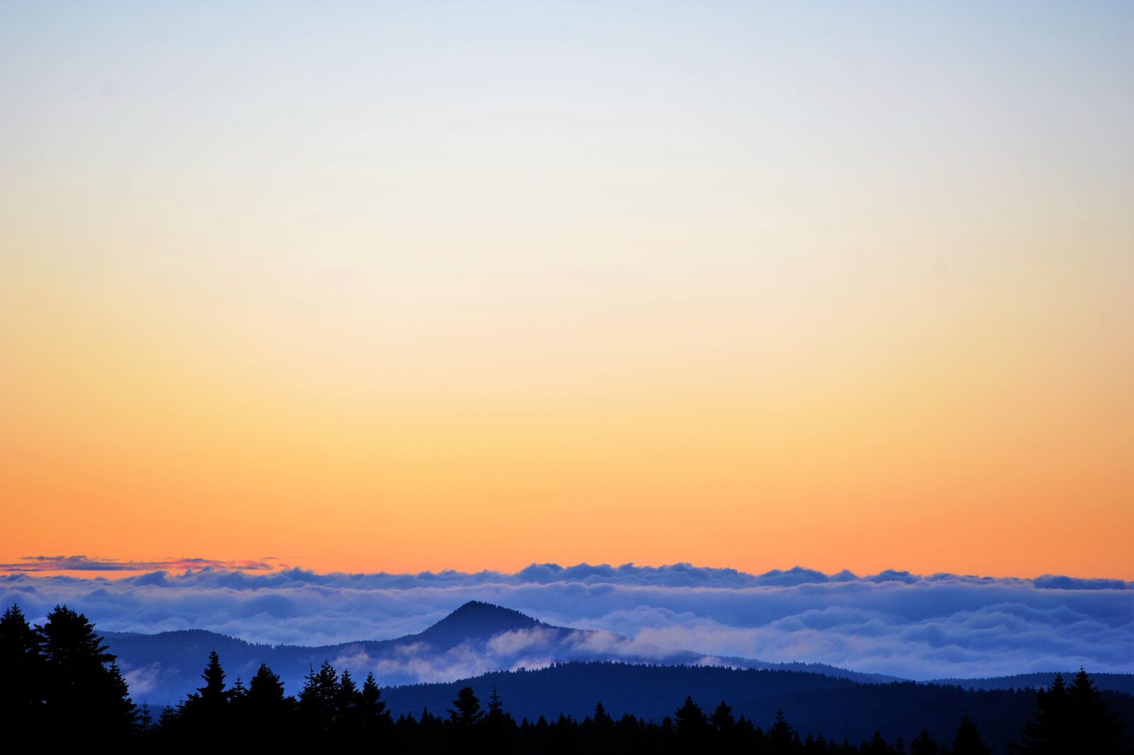Nikon D3S sample photo. Dawn, day nativity, morning photography