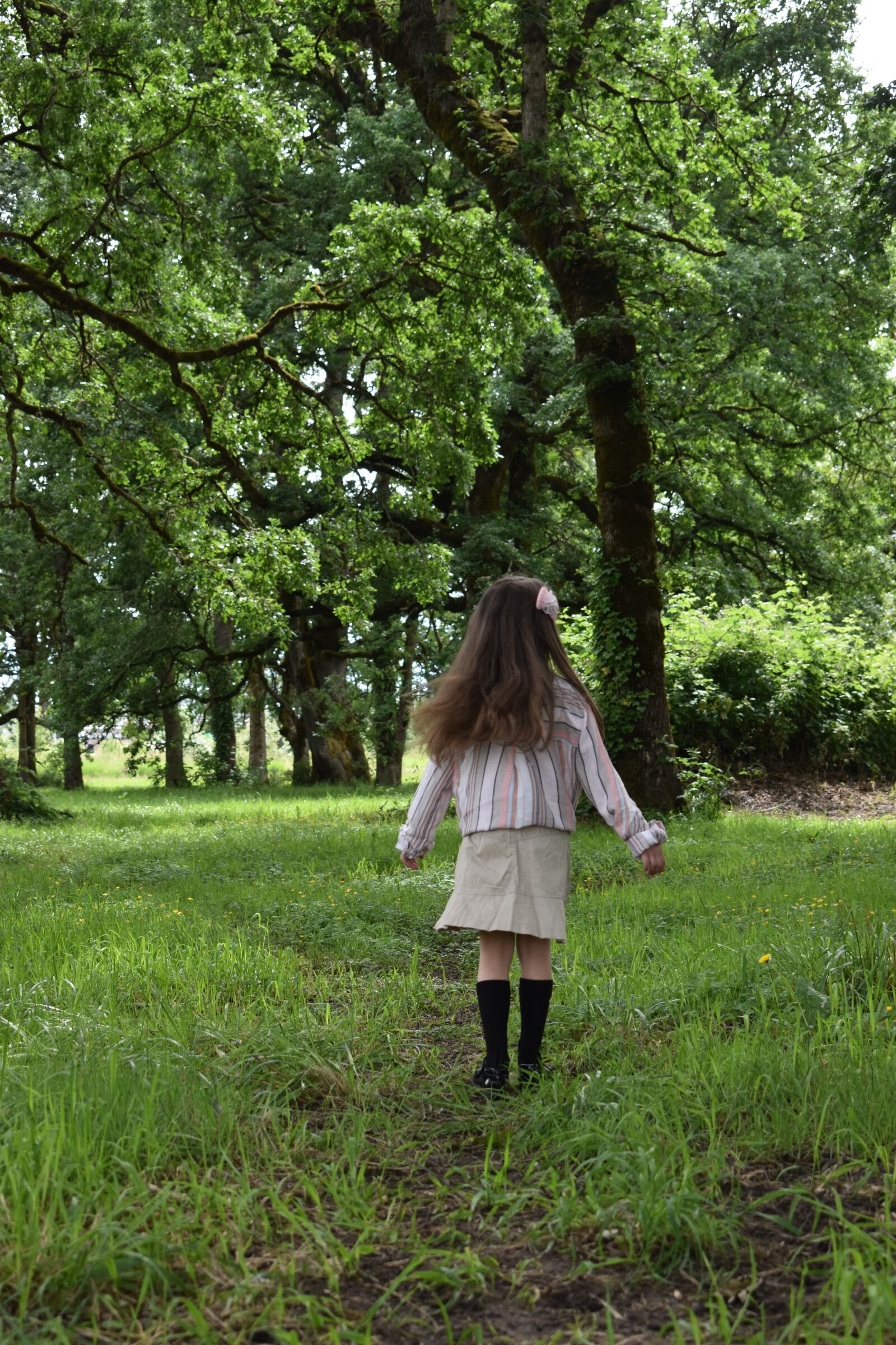 Nikon D3500 sample photo. Young, girl, forest photography
