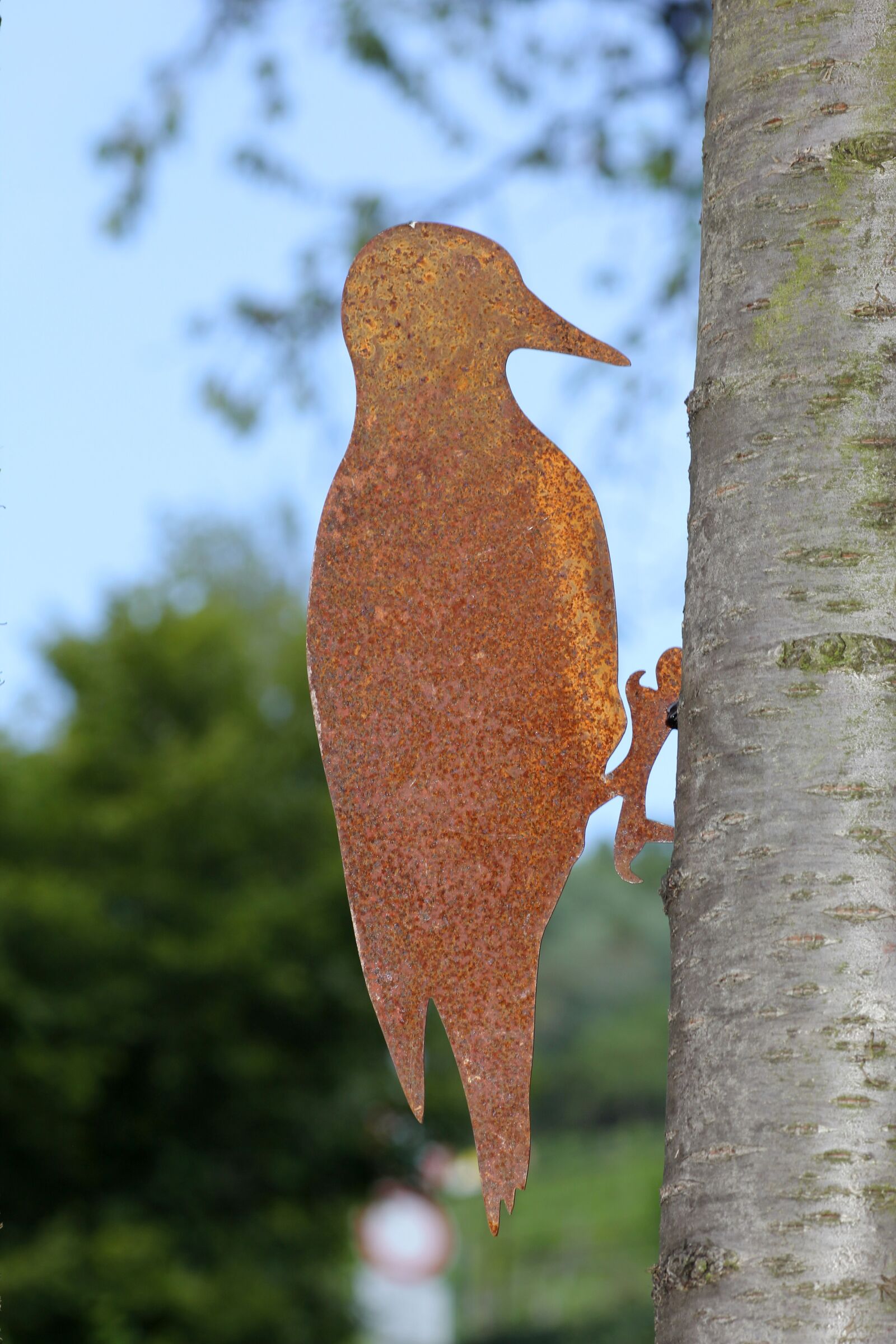 Canon EOS 60D sample photo. Woodpecker, tree, nature photography