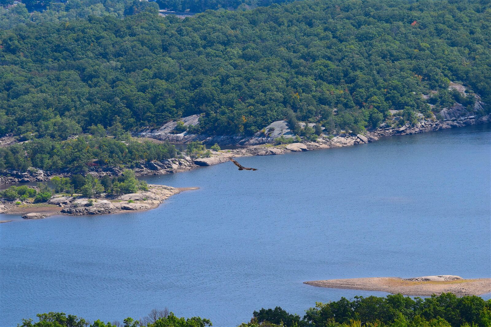 Nikon D3300 sample photo. Mountain view, lake, bird photography