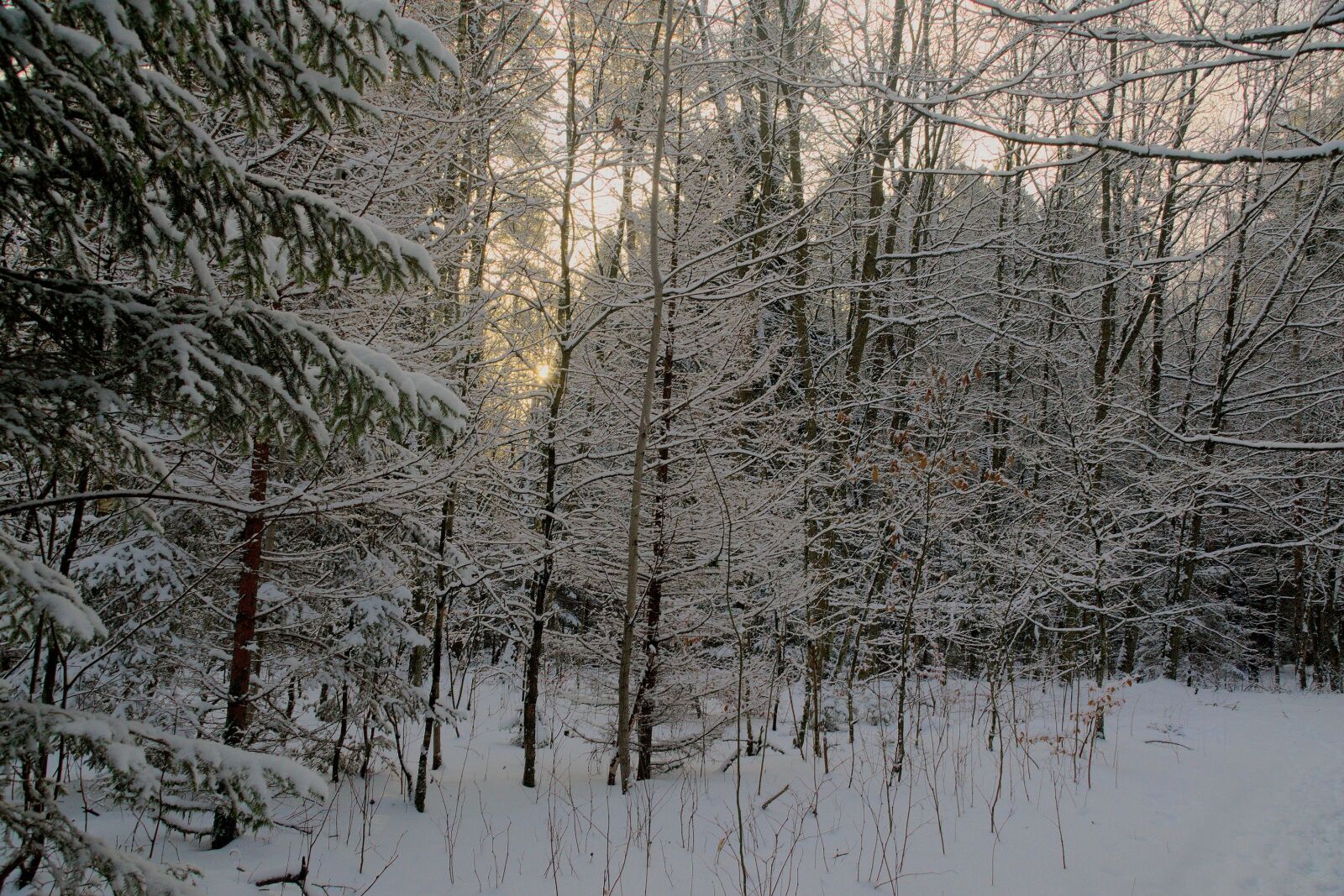 Nikon D3300 sample photo. Winter, snow, view photography