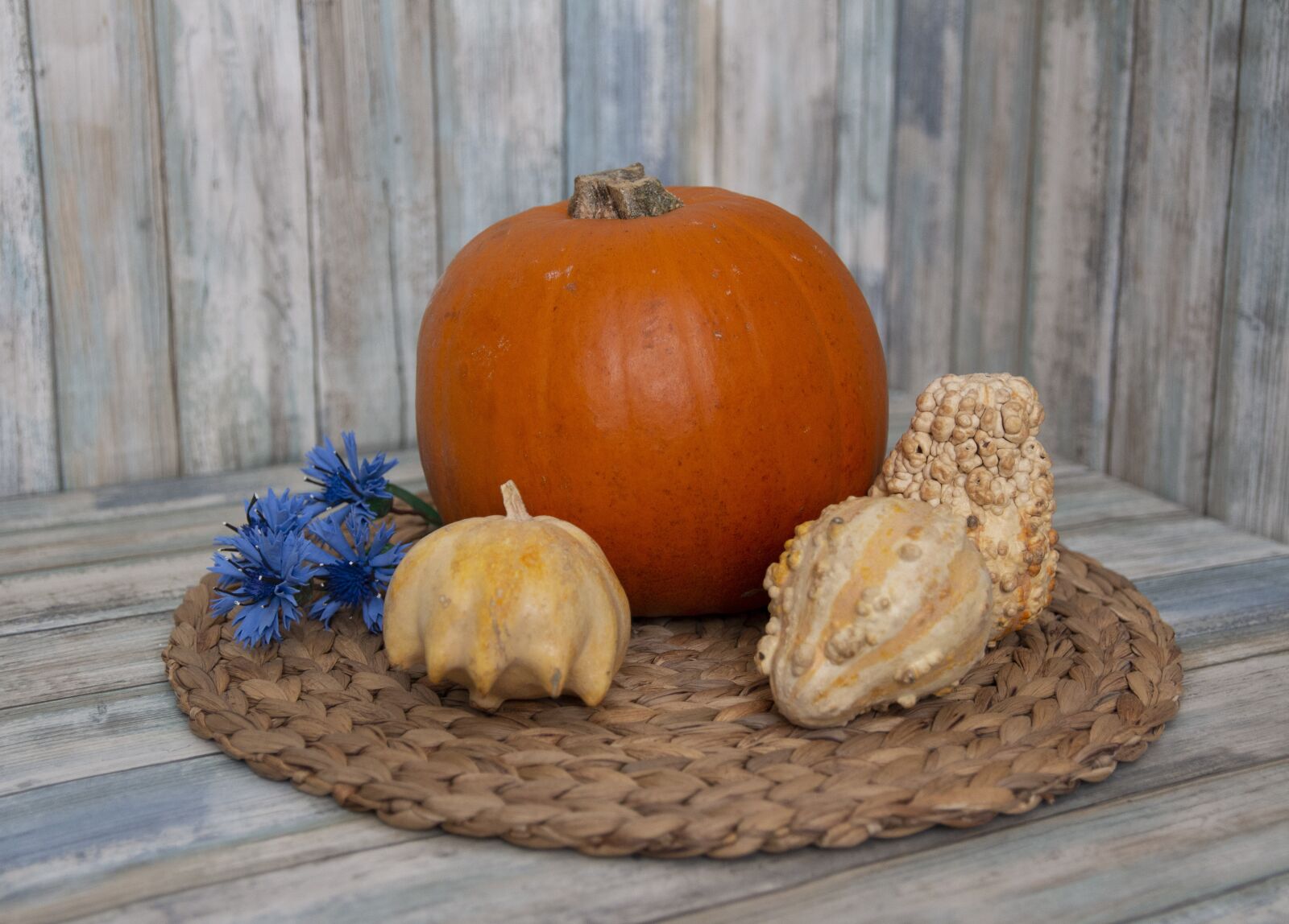 Canon EOS 650D (EOS Rebel T4i / EOS Kiss X6i) sample photo. Pumpkins, still life, autumn photography