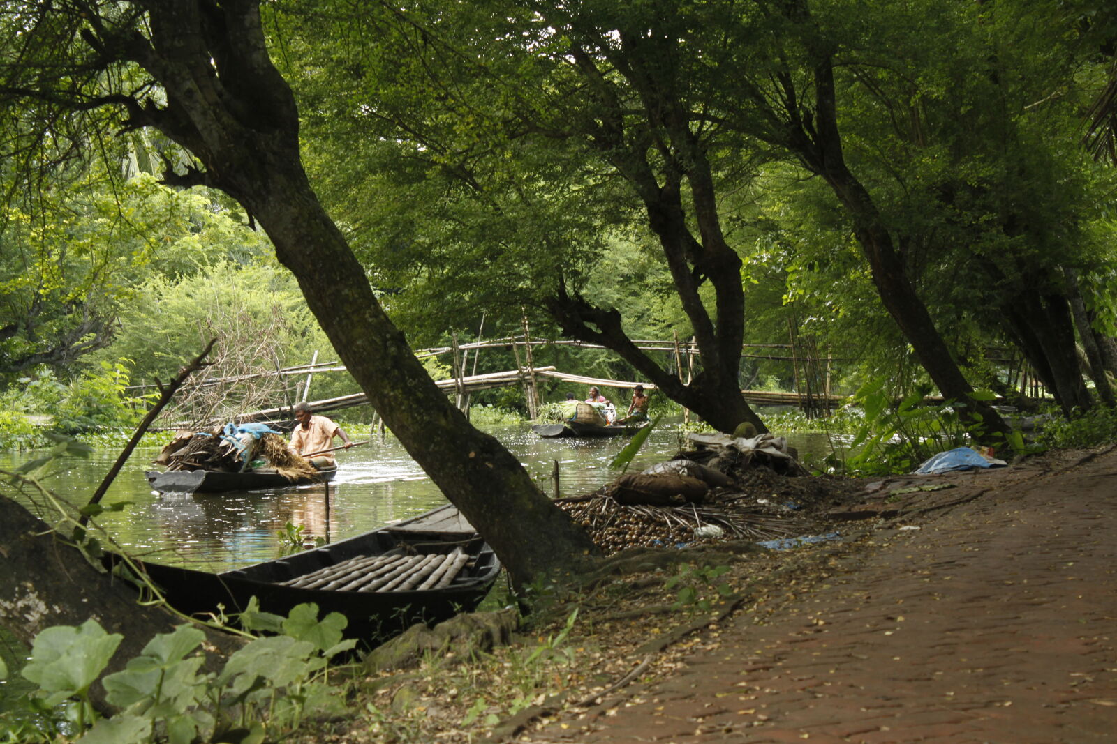Canon EOS 500D (EOS Rebel T1i / EOS Kiss X3) sample photo. Bangladesh, canal, fisherman, flower photography