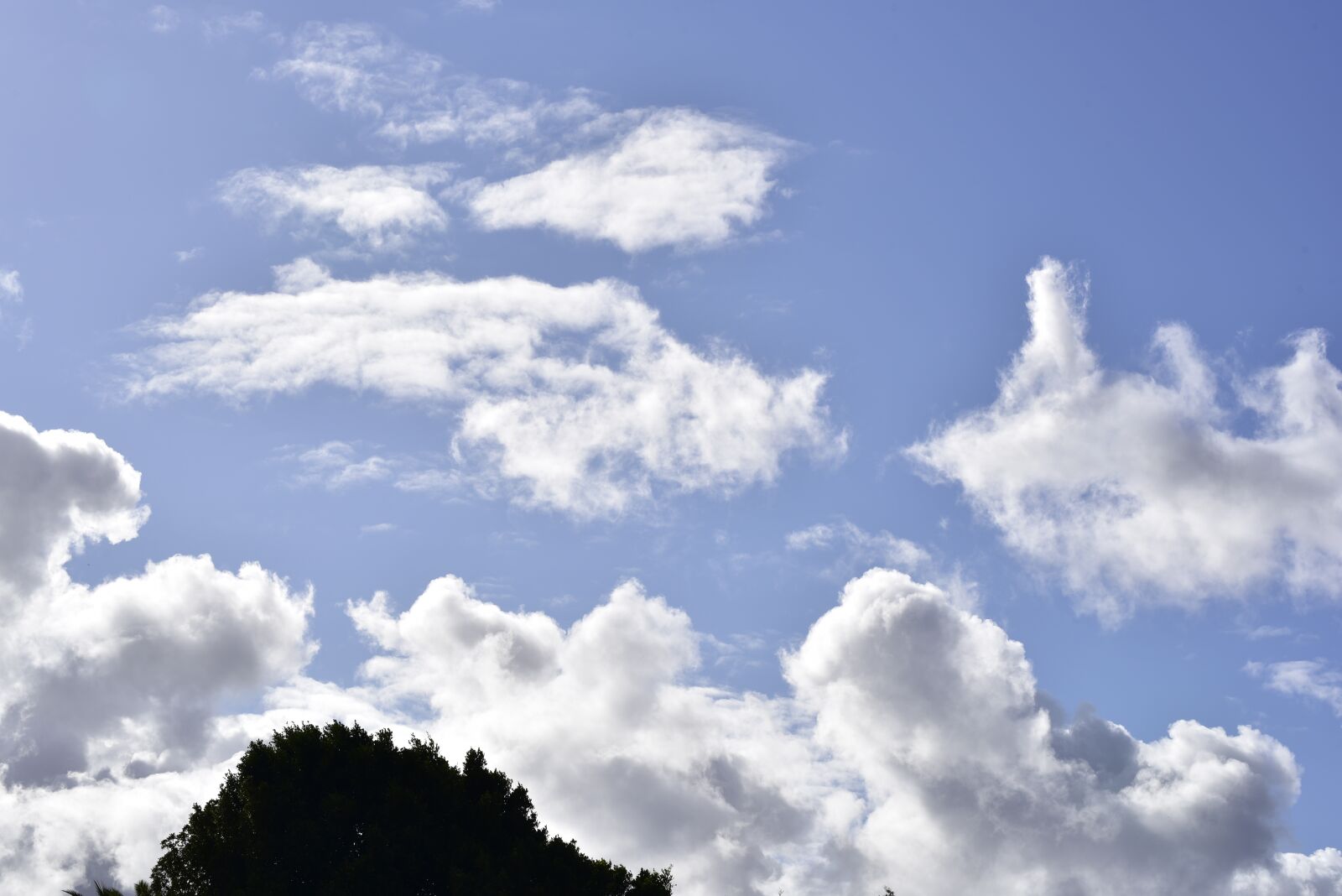 Nikon D750 sample photo. Landscape, clouds, outdoors photography