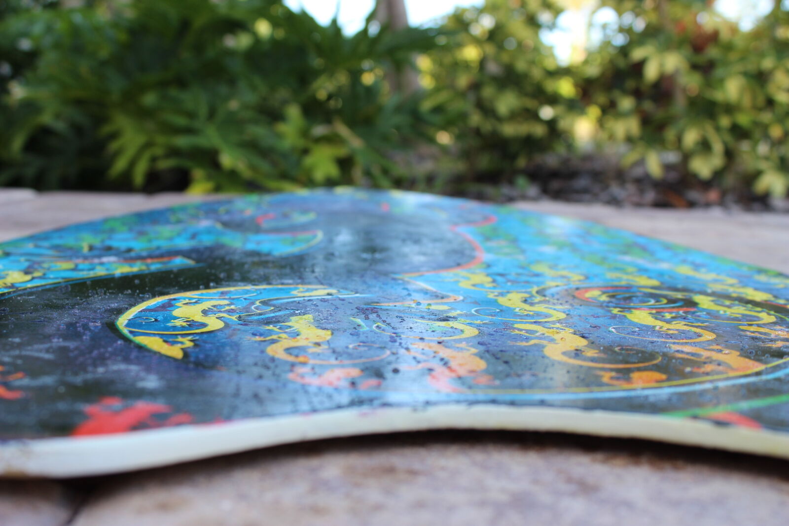 Canon EOS 600D (Rebel EOS T3i / EOS Kiss X5) sample photo. Beach, leaves, skim, board photography