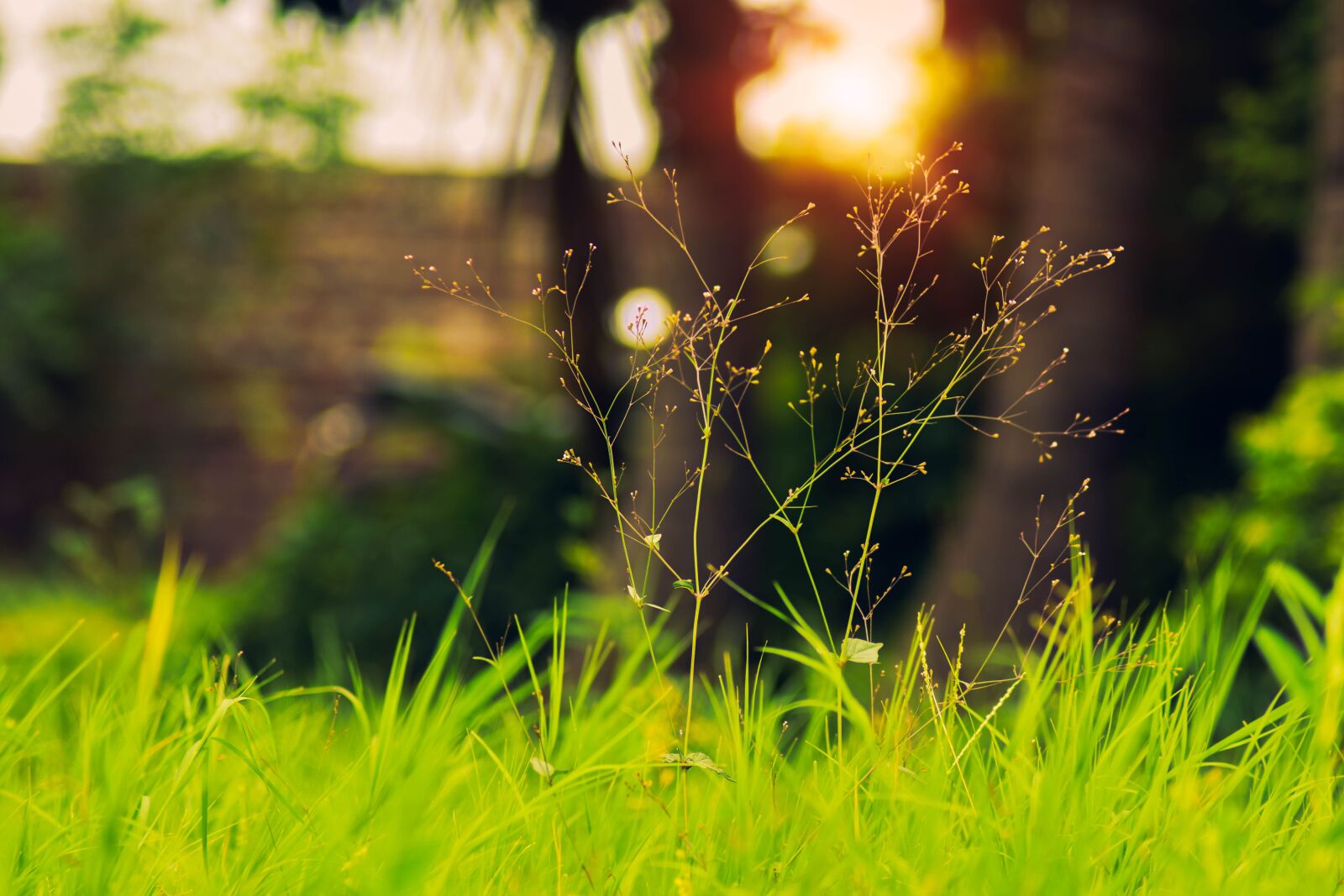 Nikon D3400 sample photo. Nature, photography, shahid photography