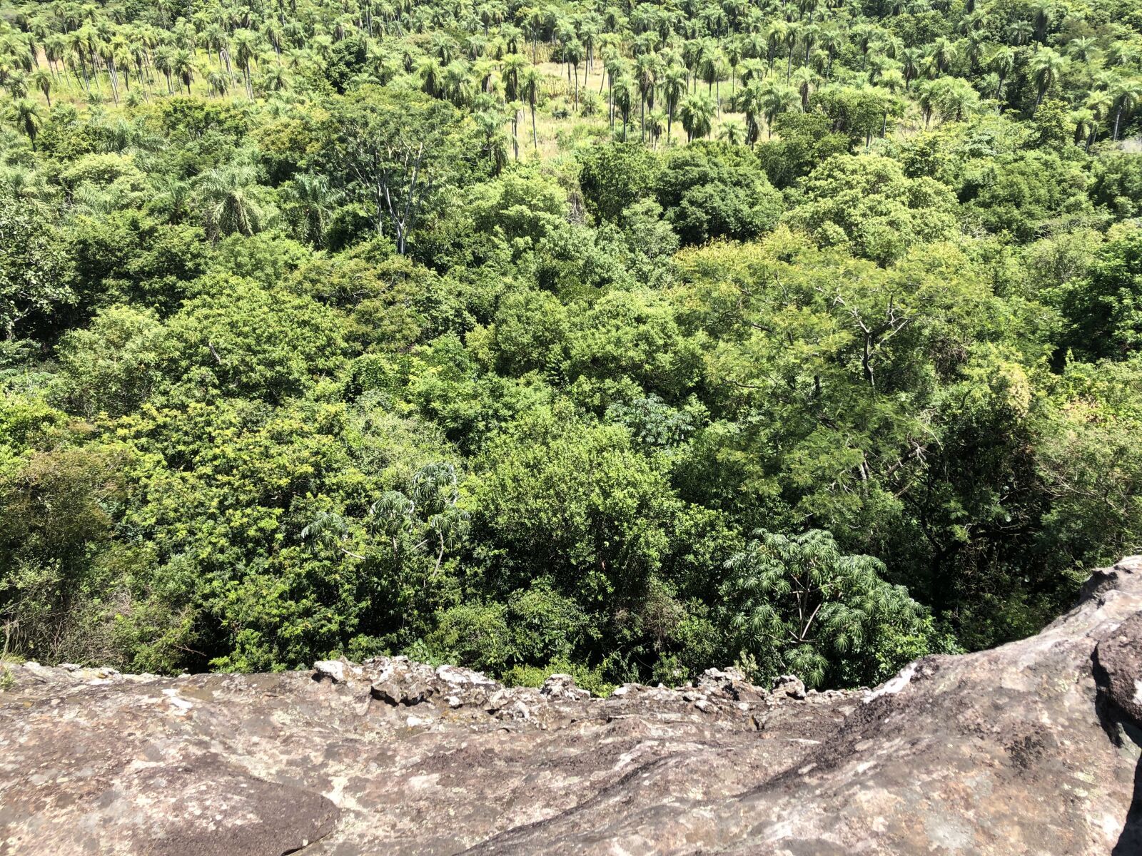 iPhone X back dual camera 4mm f/1.8 sample photo. Paraguay, tobati, cordillera photography