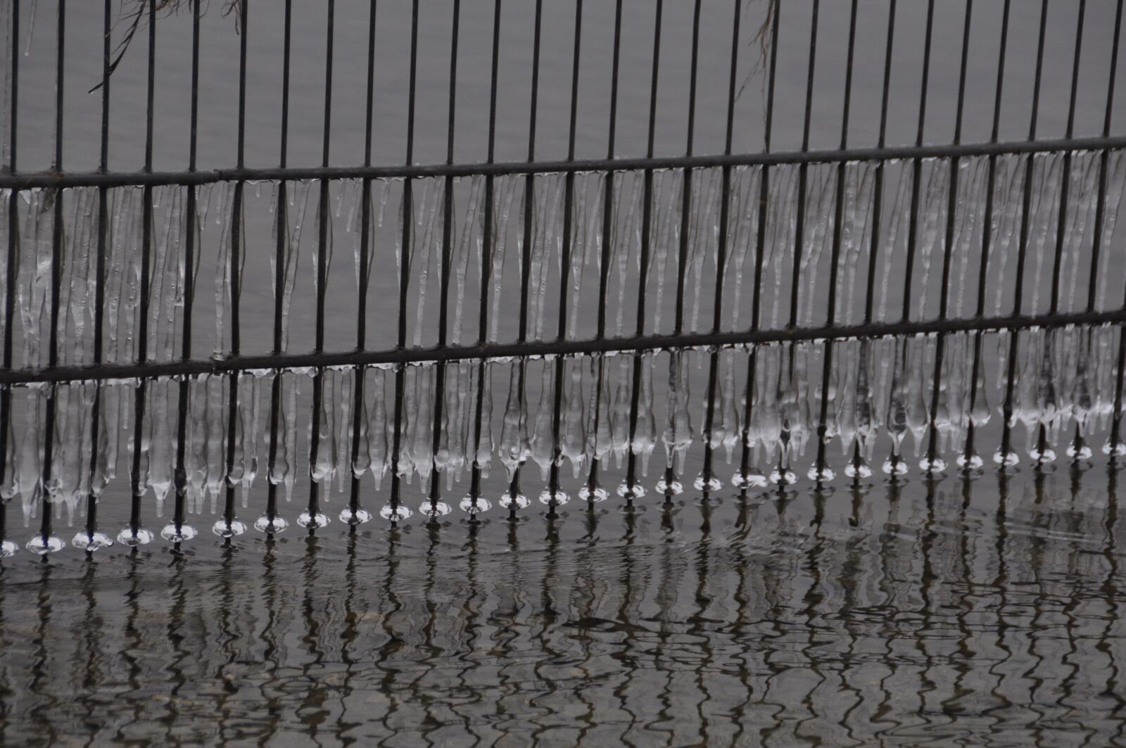 Nikon D90 sample photo. Ice, frost, grid photography