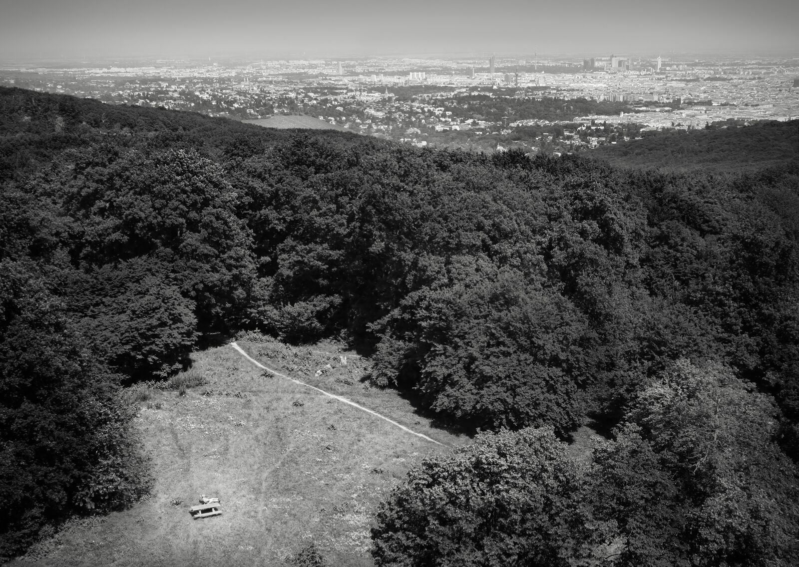 Canon EOS 40D sample photo. Vienna, austria, forest photography