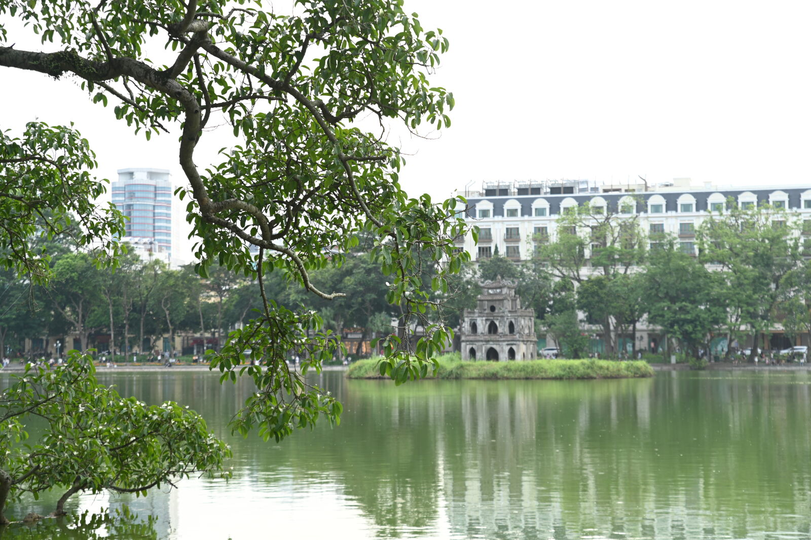 Nikon D780 sample photo