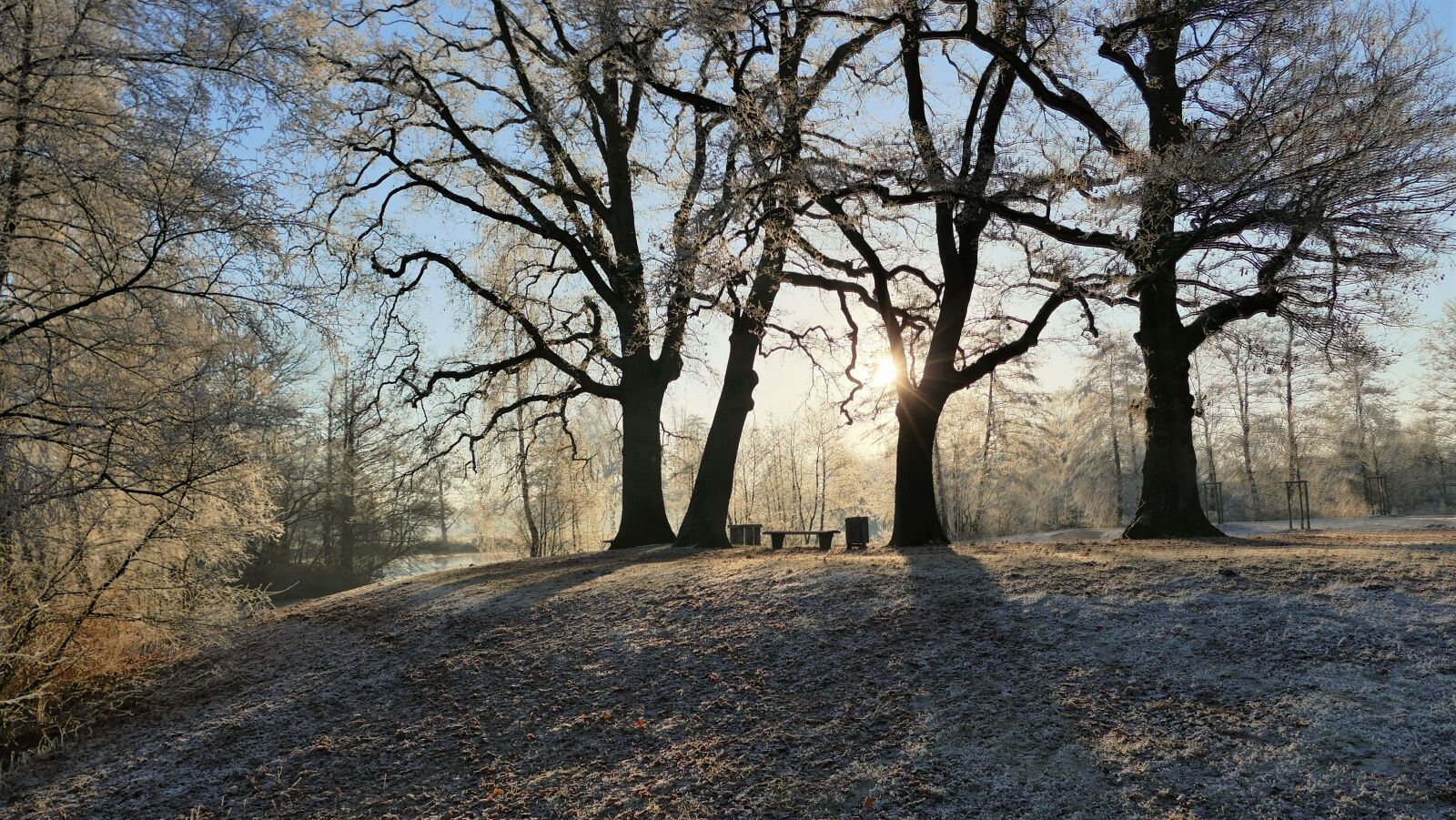Panasonic Lumix DMC-FZ1000 sample photo. Wintry, winter, mood photography