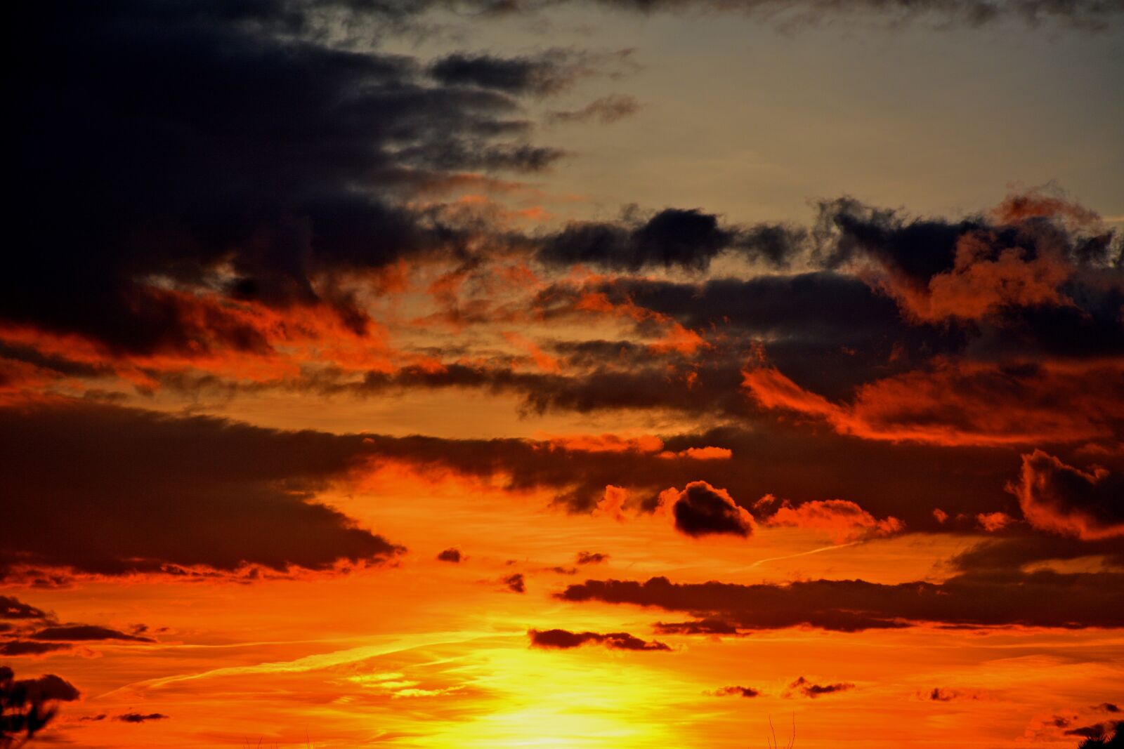 Nikon D7100 sample photo. Sun, sunrise, sky photography