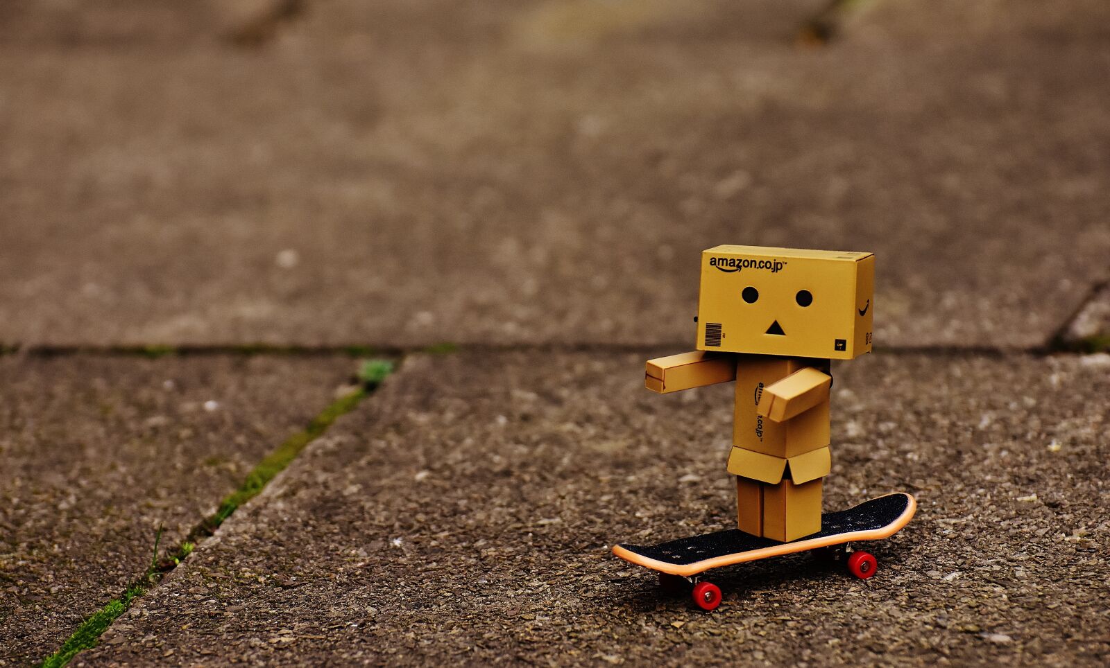 Nikon D7200 sample photo. Danbo, skateboard, drive photography