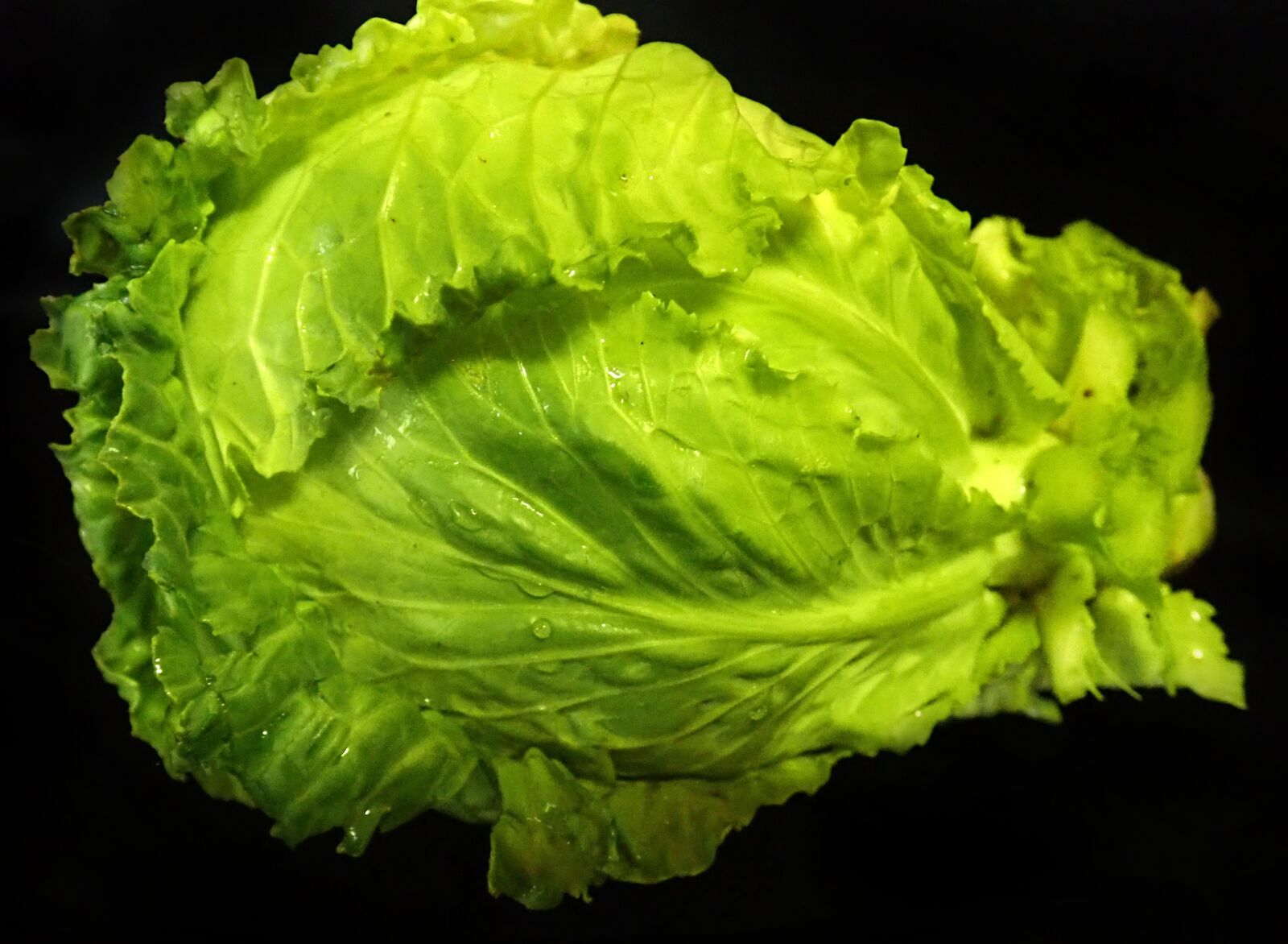 Olympus TG-5 sample photo. Cabbage, green, vegetable photography