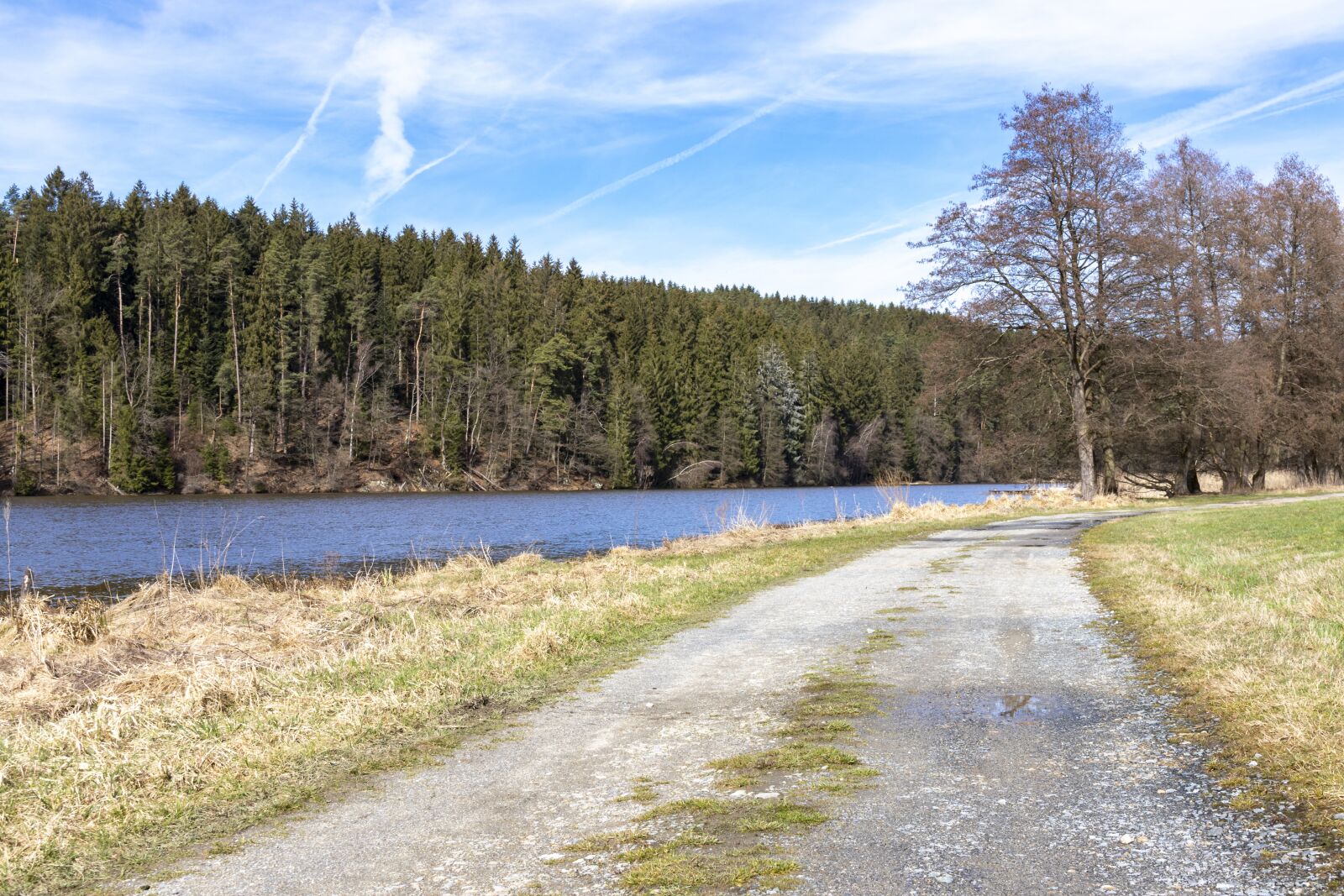 Canon EOS 80D sample photo. Blaibach, lake, bavaria photography
