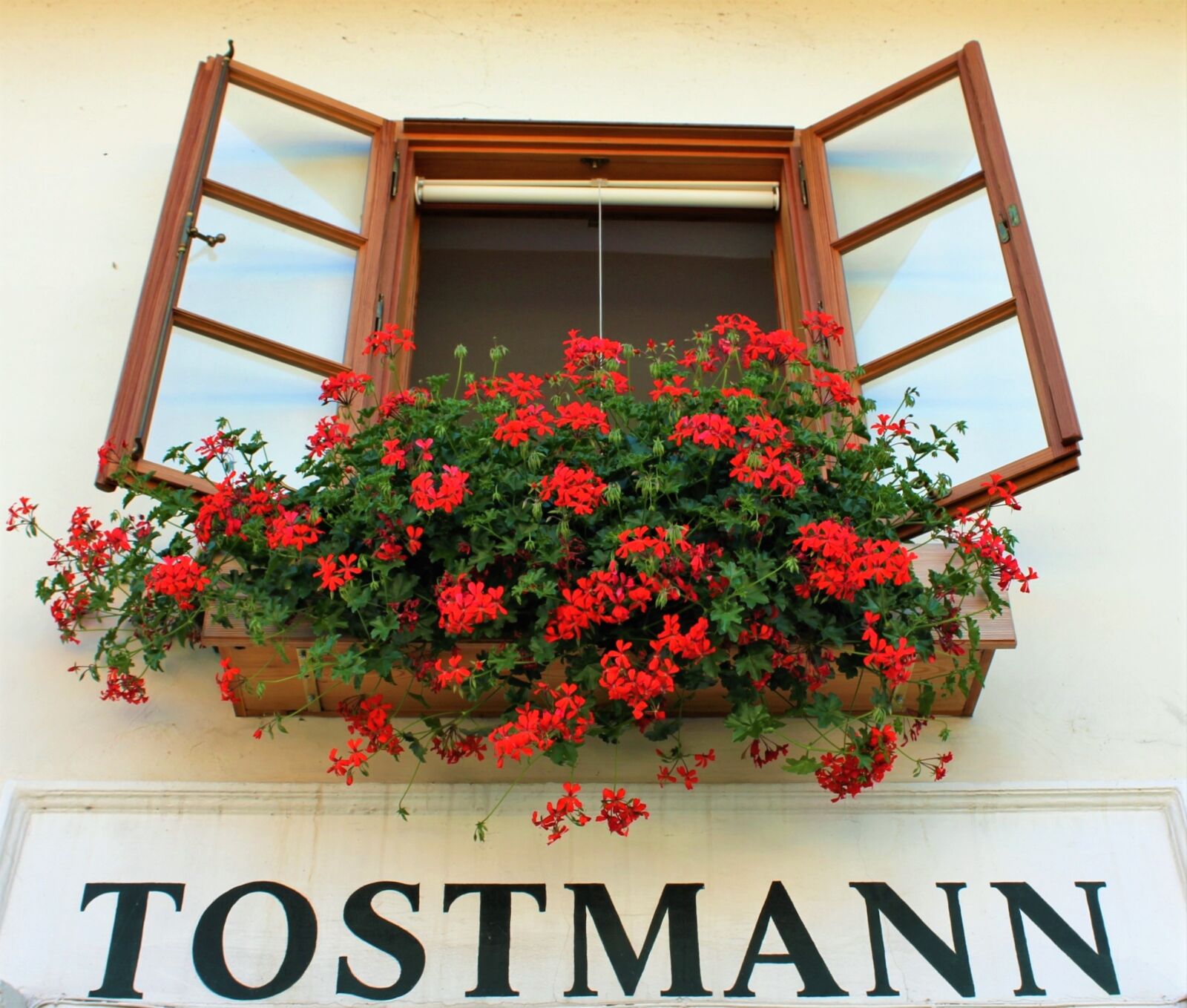Canon EOS 550D (EOS Rebel T2i / EOS Kiss X4) sample photo. Looking up, window, outlook photography