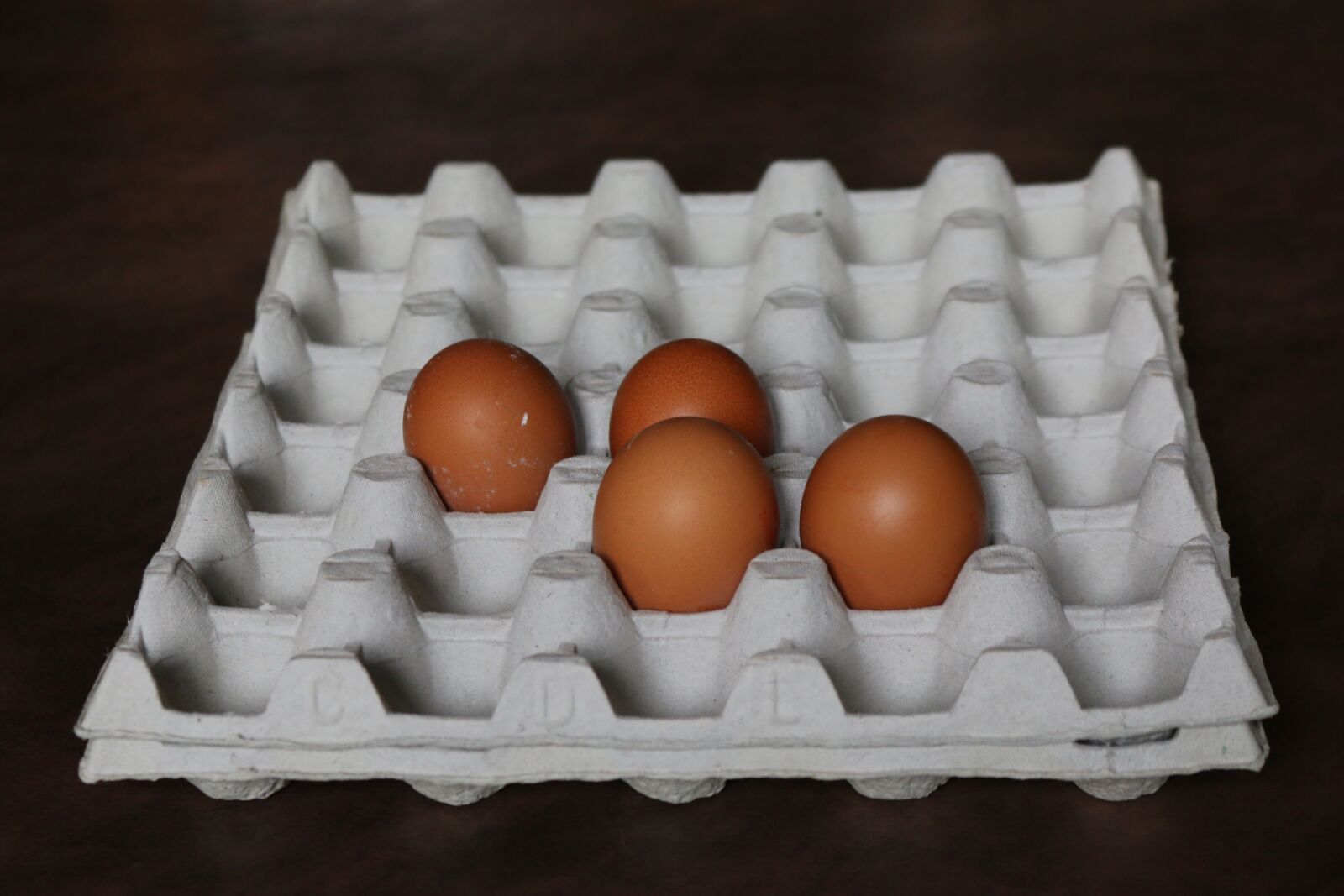Canon EOS 70D sample photo. Egg, egg tray, kitchen photography