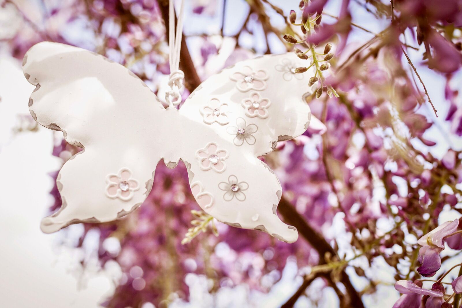 35mm F1.4 sample photo. Blue rain, wisteria, tree photography