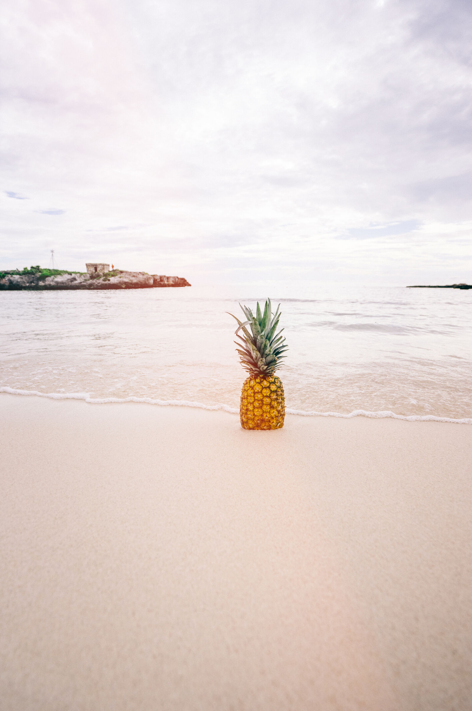 Sony a7 II + Sony Vario-Tessar T* FE 16-35mm F4 ZA OSS sample photo. Pineapple, fruit, on, seashore photography