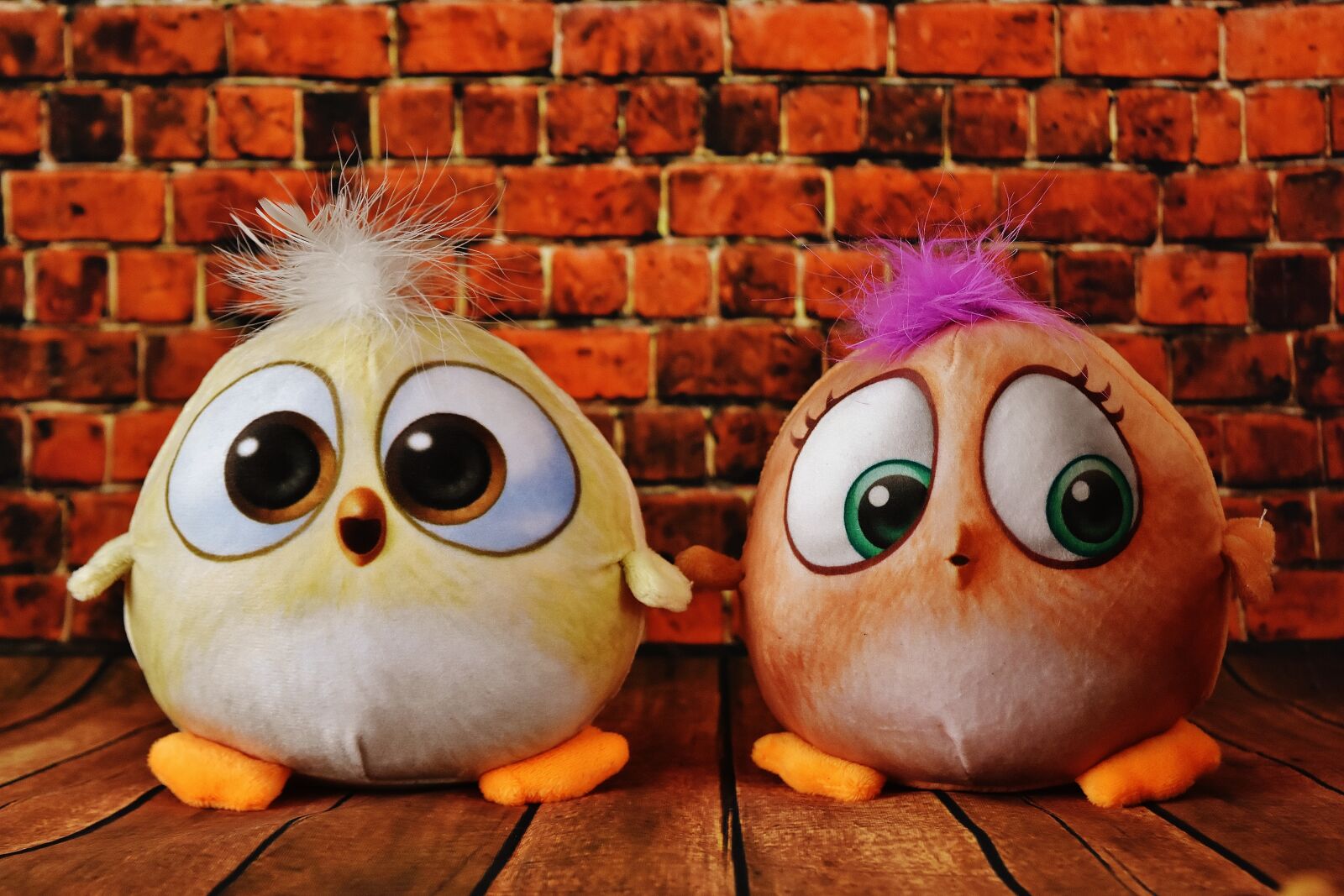Nikon D7200 sample photo. Birdie, plush toys, cute photography