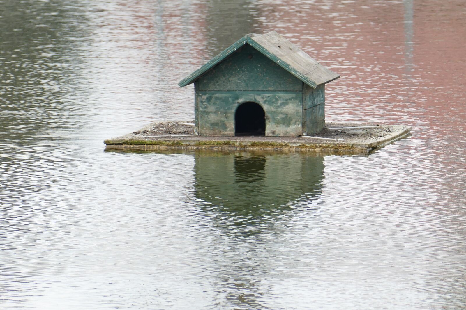 Panasonic Lumix DMC-FZ1000 sample photo. Entenhaus, pond, water photography
