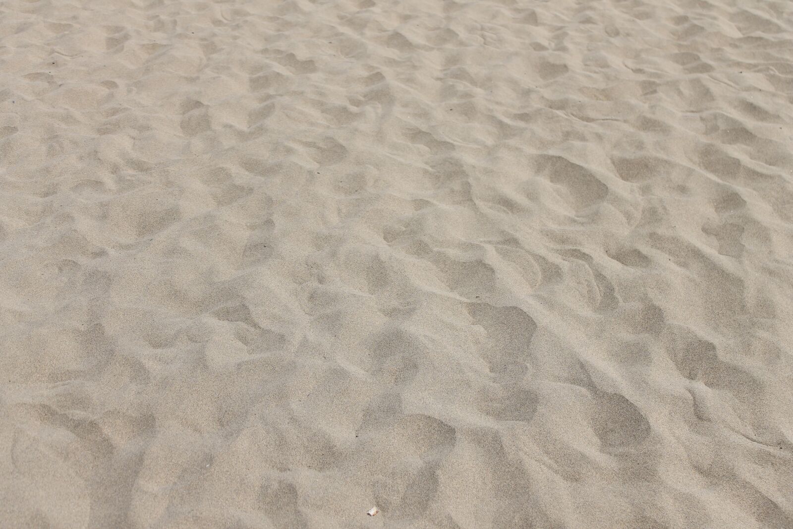 Canon EOS 1100D (EOS Rebel T3 / EOS Kiss X50) sample photo. Footsteps, sand, beach photography