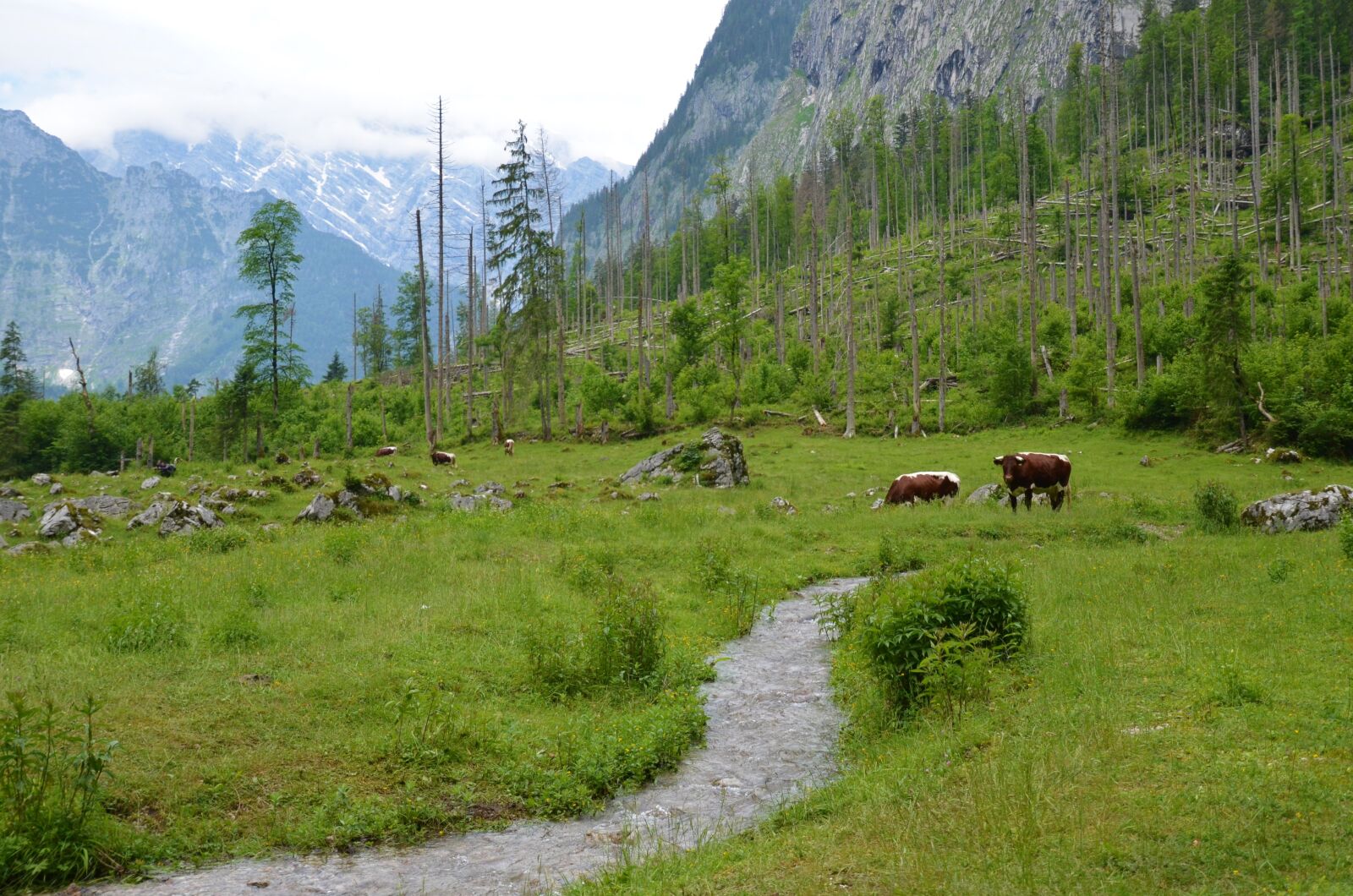 Nikon D5100 sample photo. Salet, berchtesgaden, bavaria photography