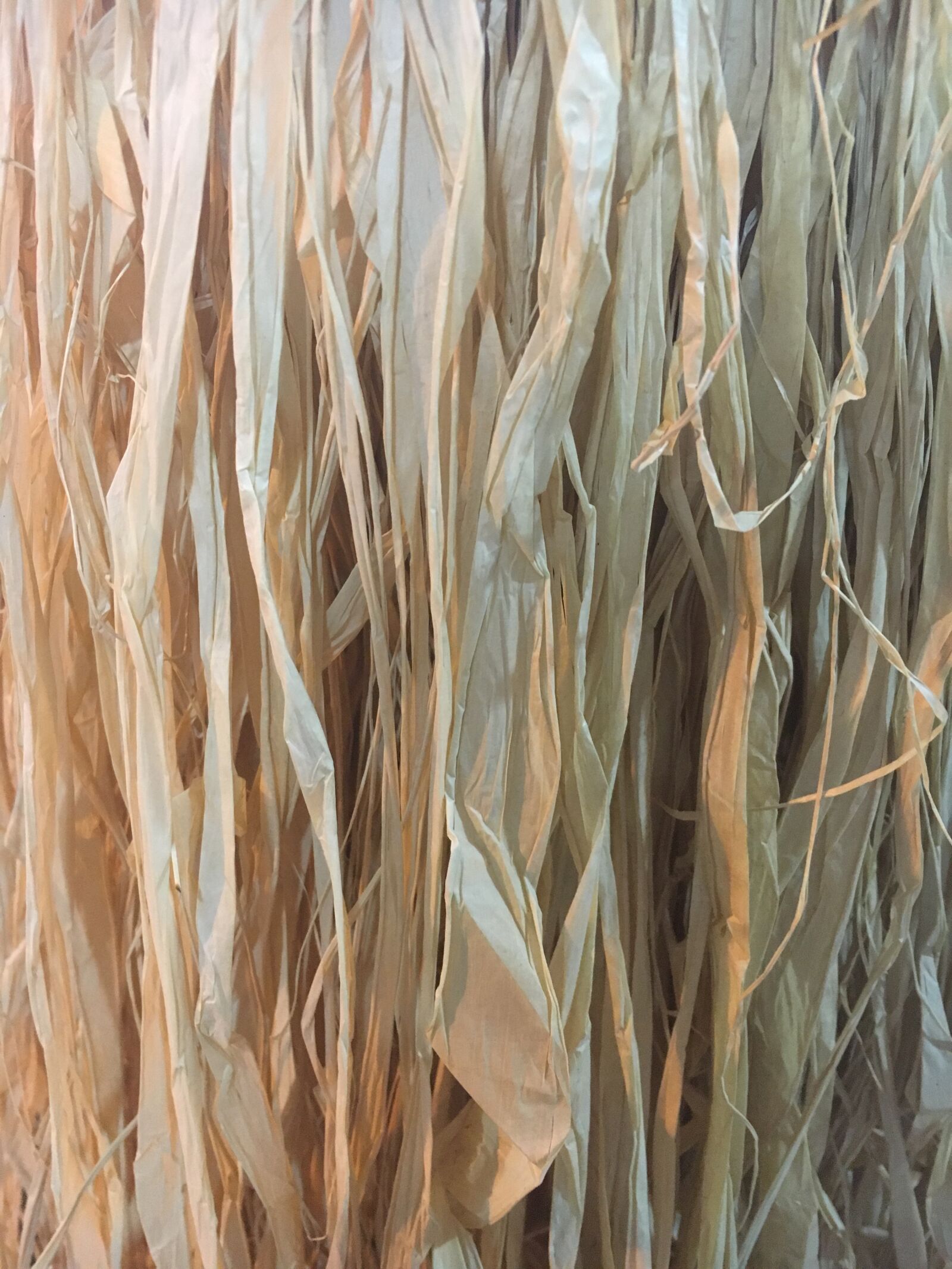 Apple iPhone 6s sample photo. Straw, texture, straw-of-the-coast photography