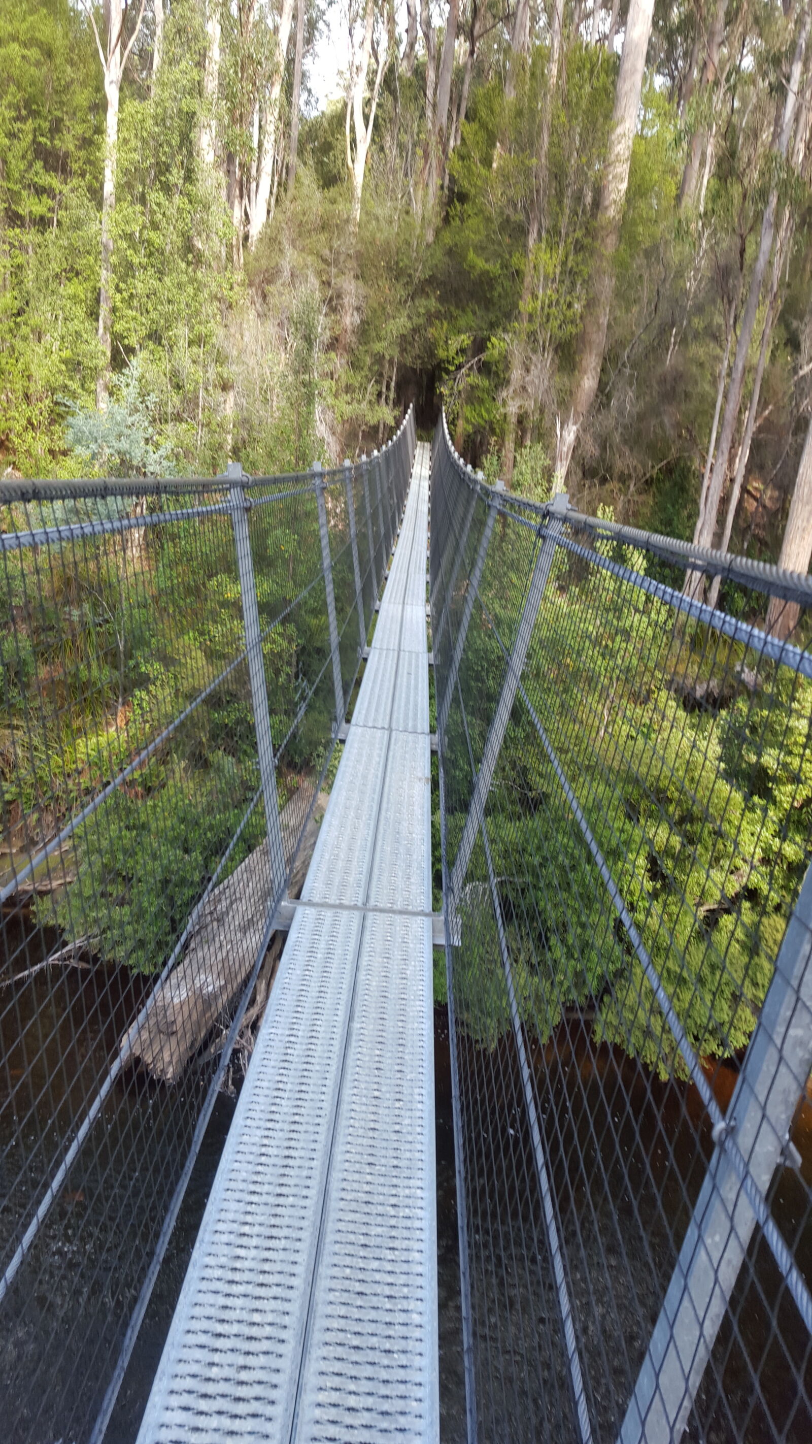 Samsung Galaxy S6 sample photo. Suspension, bridge, woods photography
